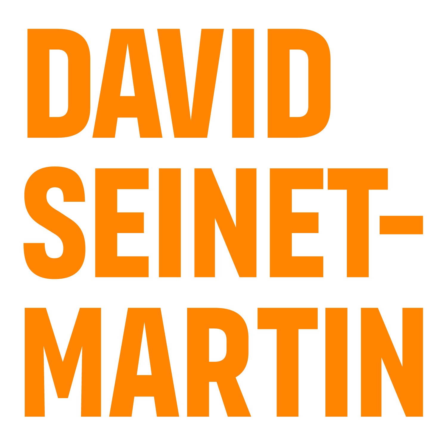 David Seinet-Martin