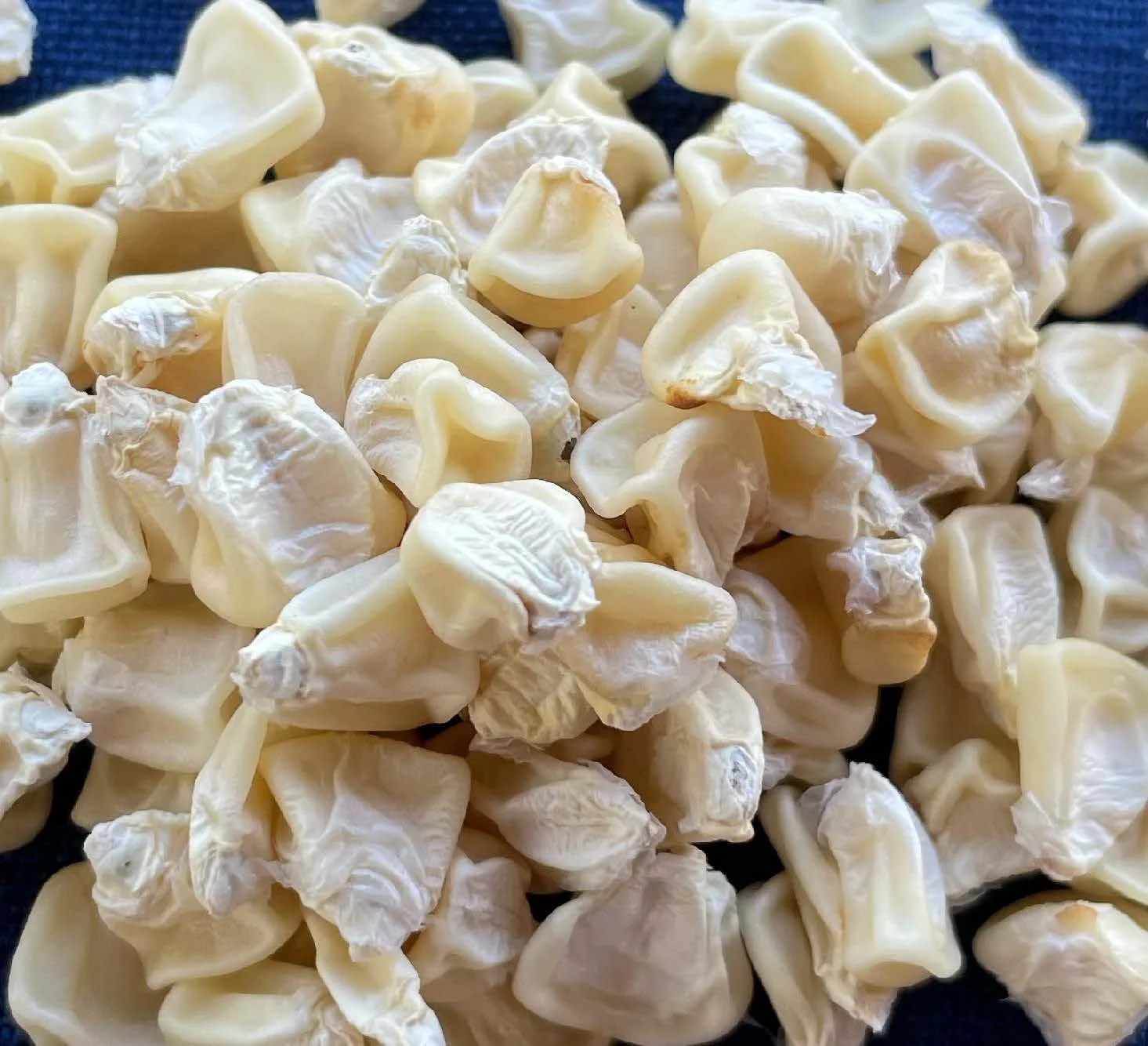Sweet Corn (Silver Sweet Corn)