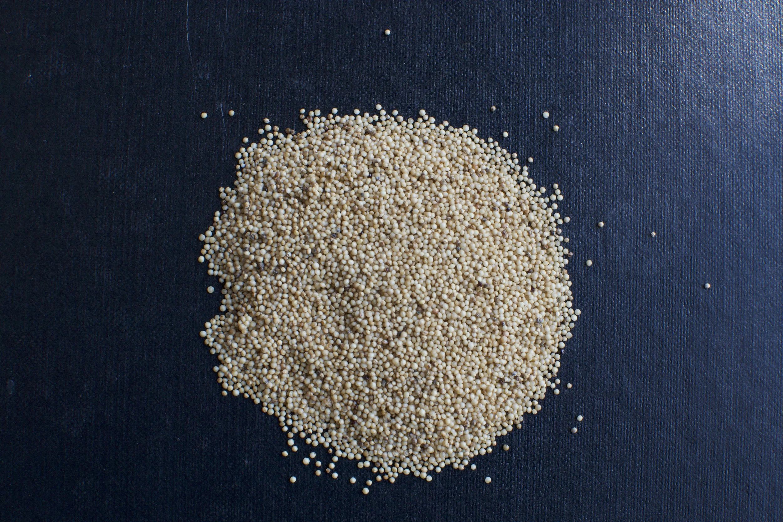 Grain Amaranth (PI 538321)