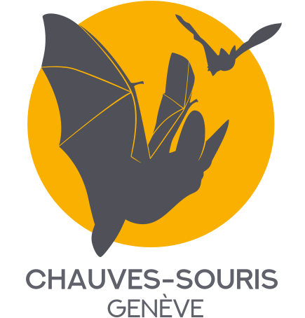 Chauves-souris Genève