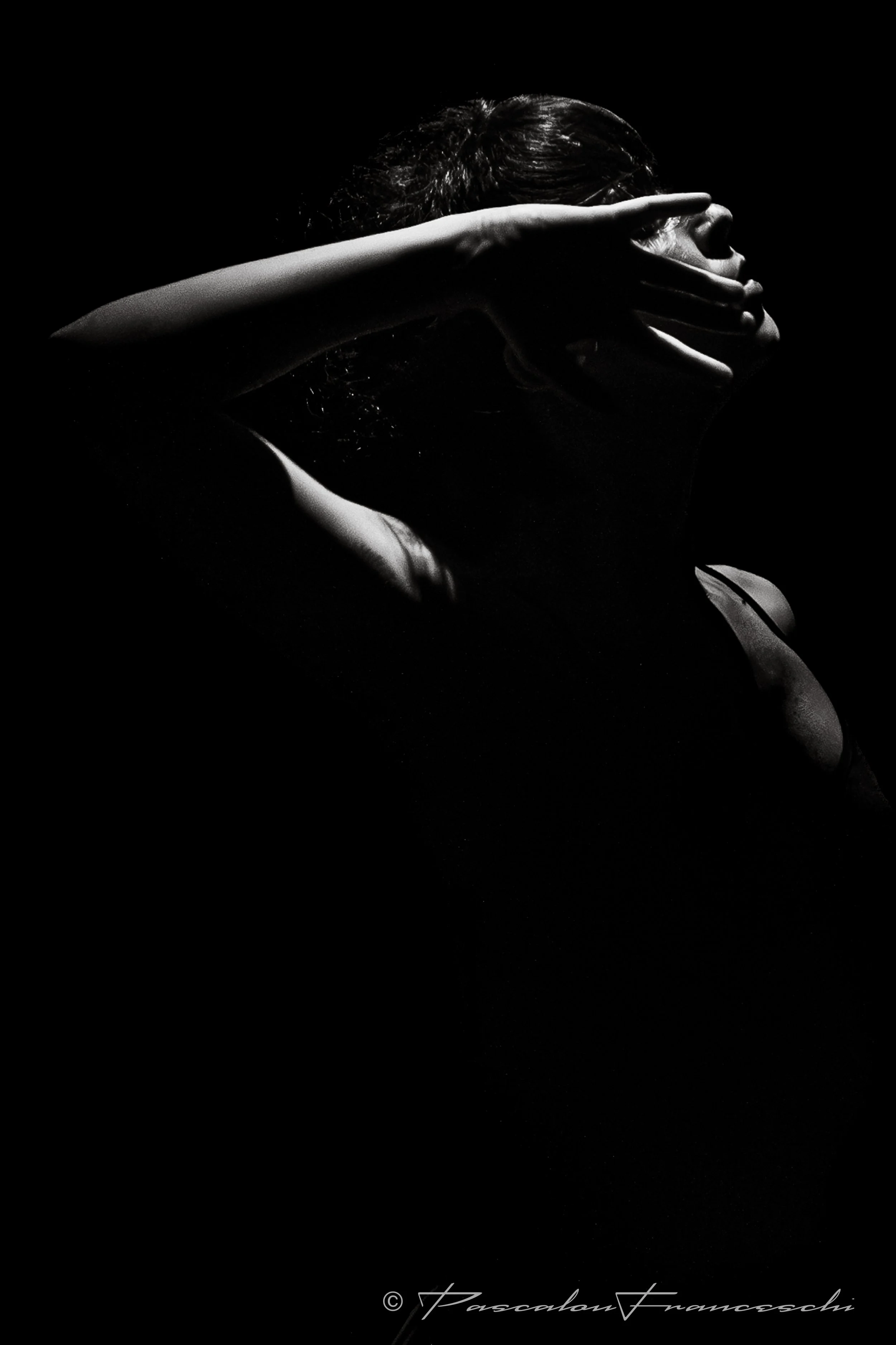 Entre deux mers.JPG