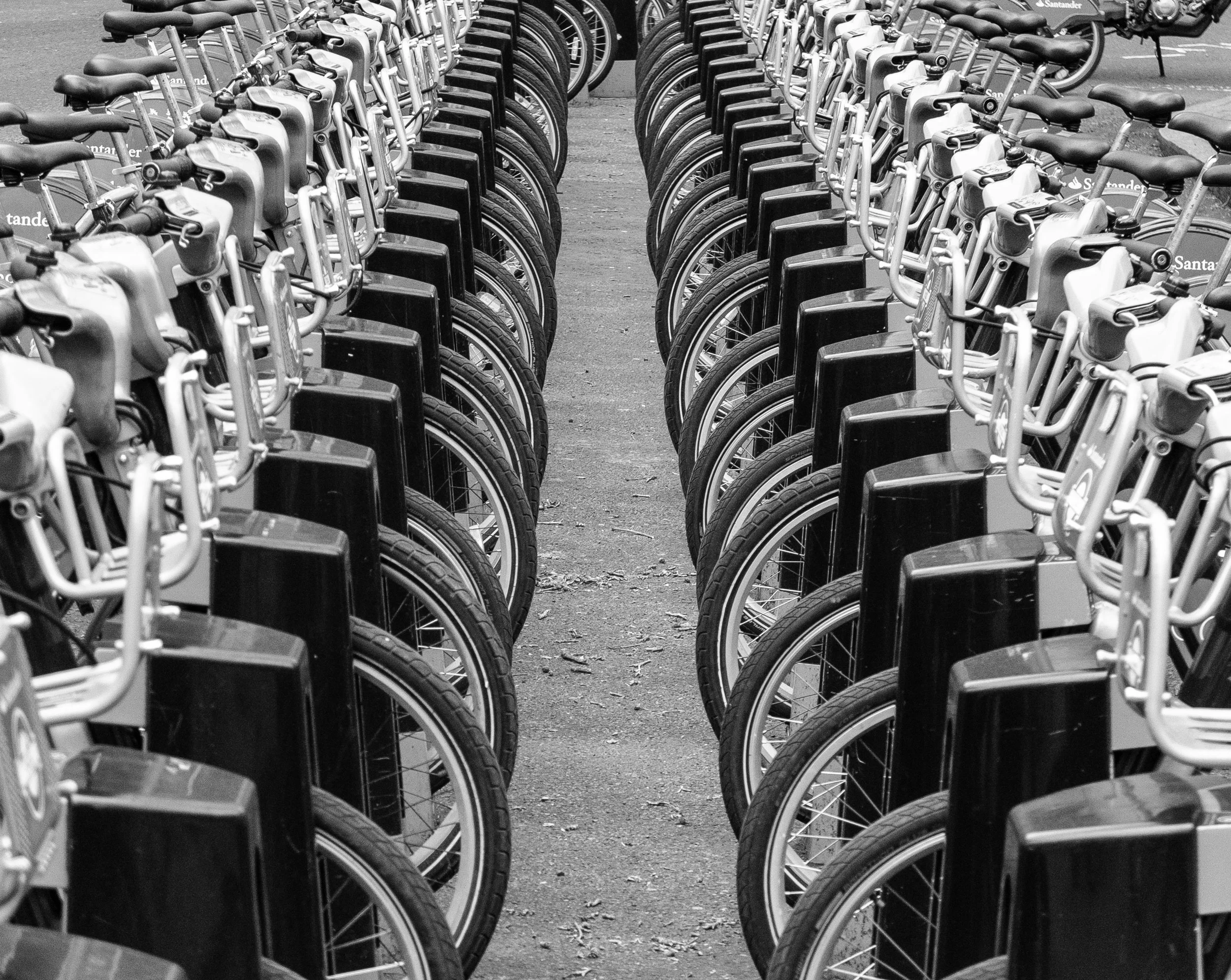 Black and white photo of a long row of parked bicycles lined up neatly on a paved surface.