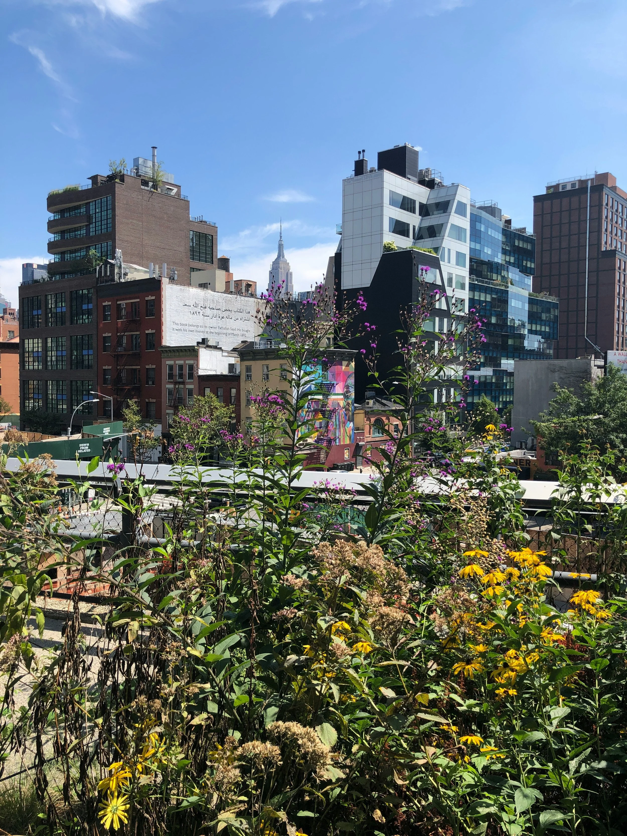 A cityscape featuring tall modern buildings with a blue sky overhead, and green infrastructure in the foreground.