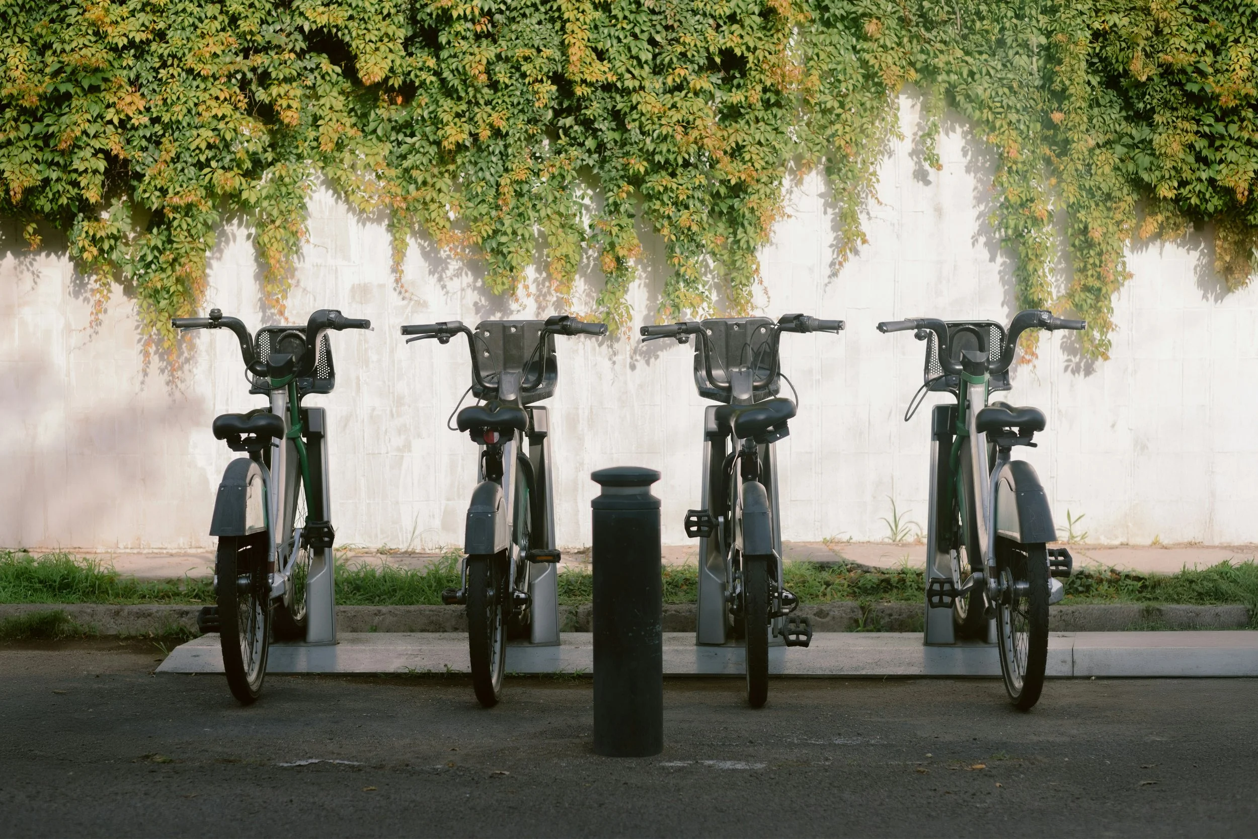 Four electric bicycles parked at a bike-sharing station against a wall covered with lush green and yellow ivy.