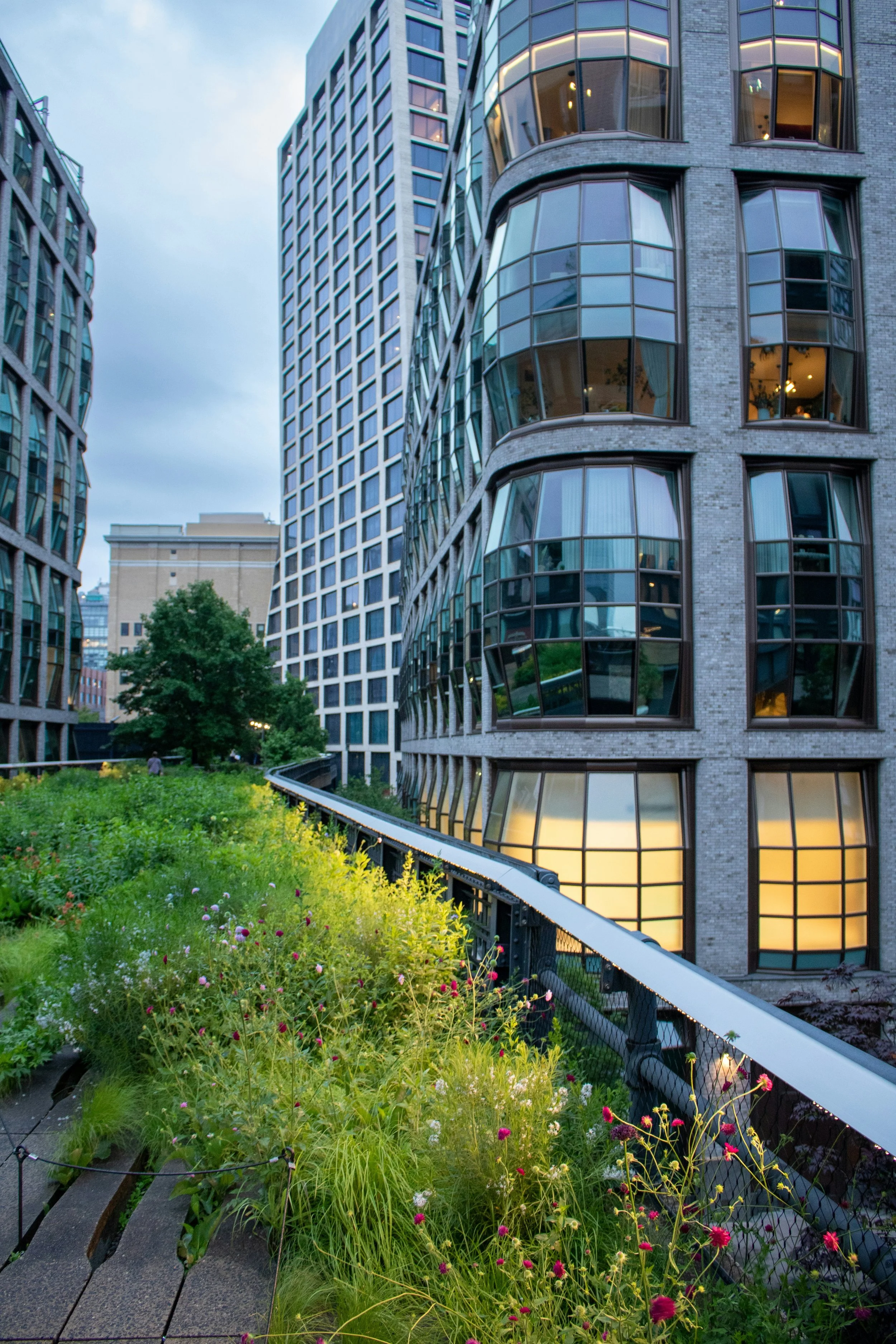 A cityscape at dusk featuring modern high-rise buildings with large glass windows. In the foreground, there is a rooftop garden with various green plants and flowers along a curved walkway, enclosed by a black railing.
