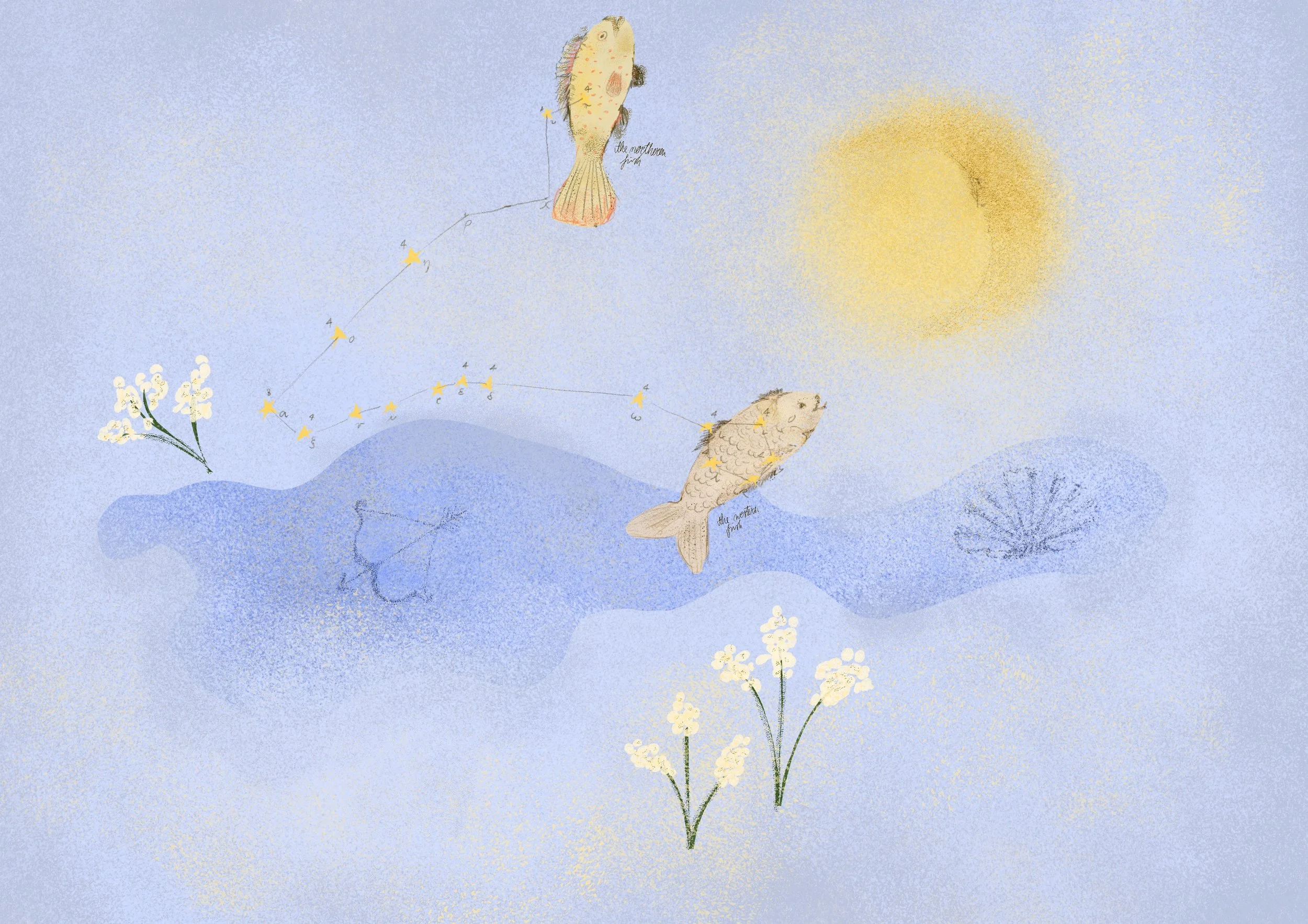 Pisces Constellation Illustration