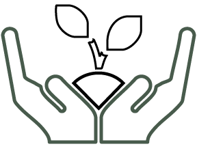 Illustration of two hands holding a growing plant with leaves