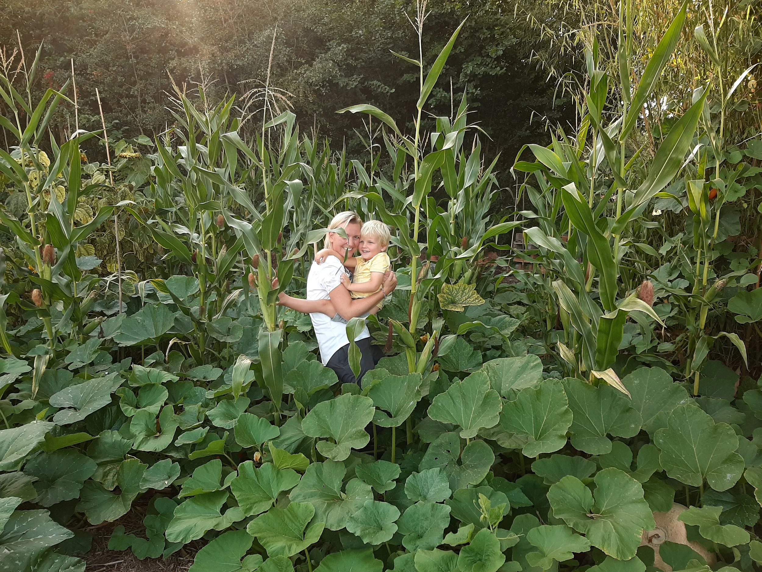 A woman and a young boy smiling and hugging in the middle of a tall cornfield surrounded by green foliage.