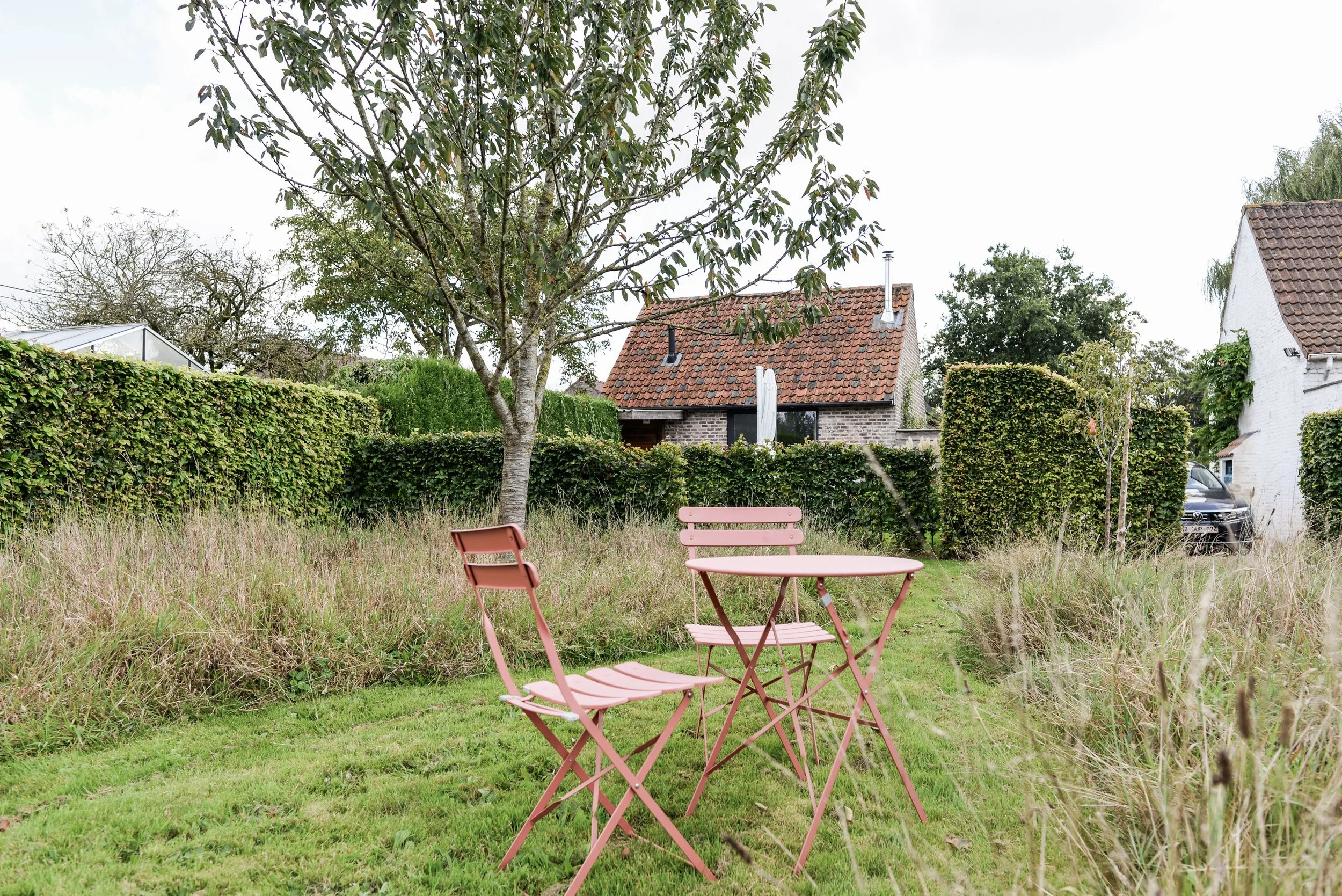 Outdoor garden scene with pink metal table and chairs on grassy area, surrounded by overgrown grass and bushes, with a small house with a tiled roof and a large tree in the background.