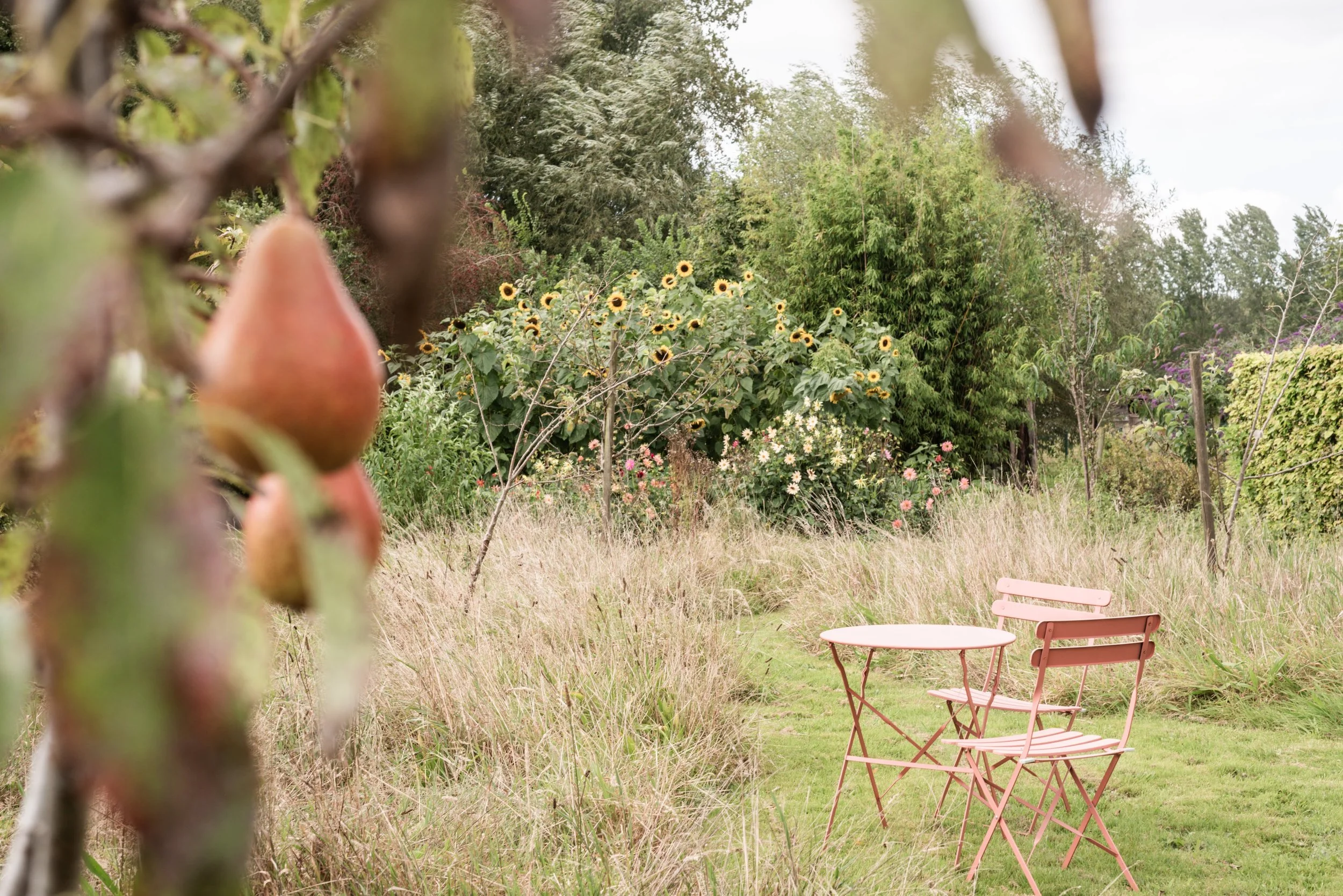 Finca Feliz © Femke den Hollander-5205.jpg