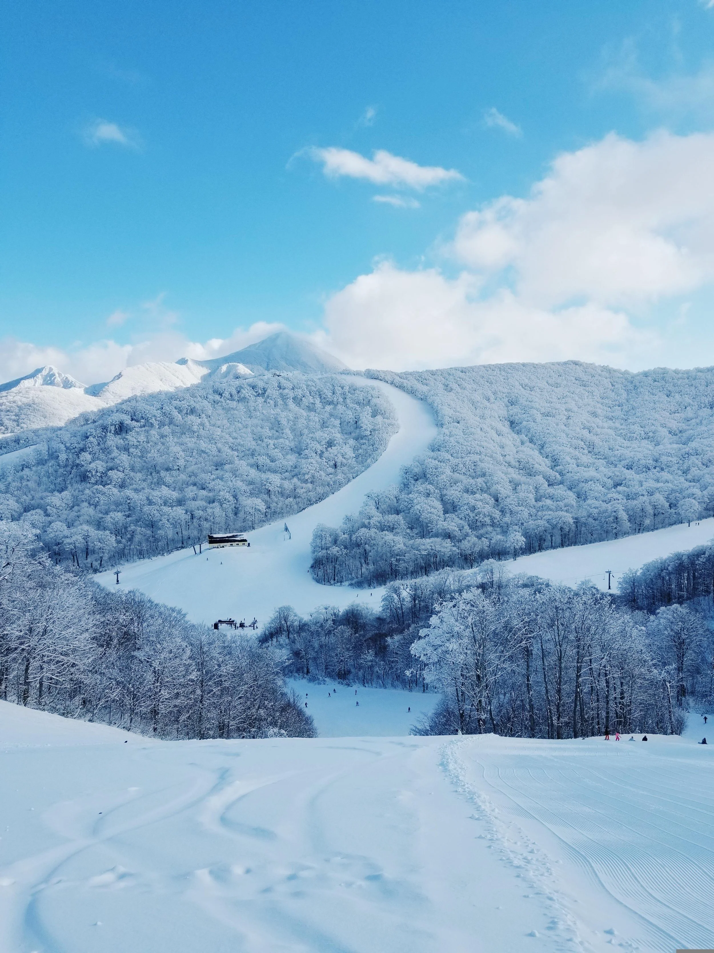 Tsugaike Kogen Ski Resort Hakuba Japan