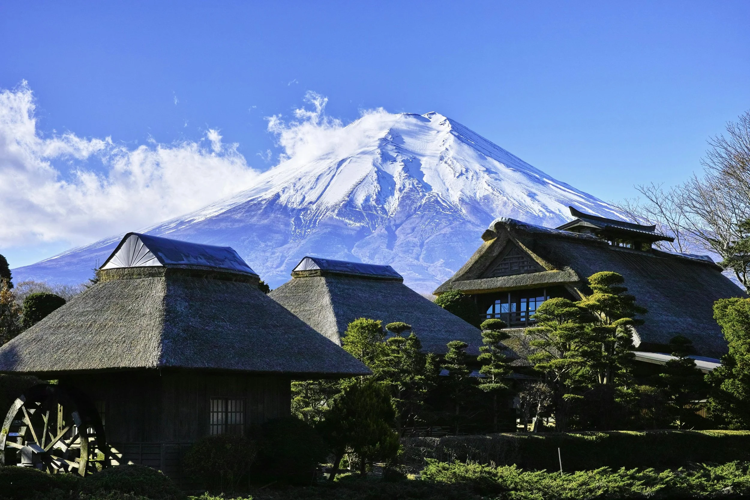 Mount Fuji Shinobi no Sato Village