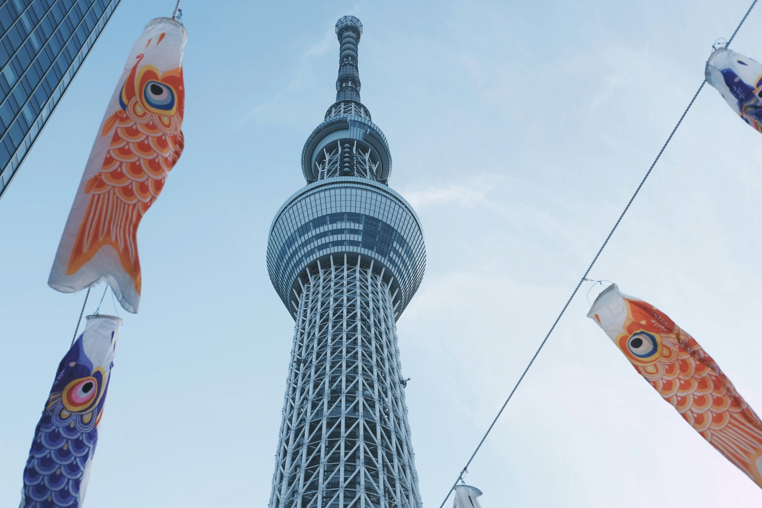 Sky tree with carp lanterns in the foreground