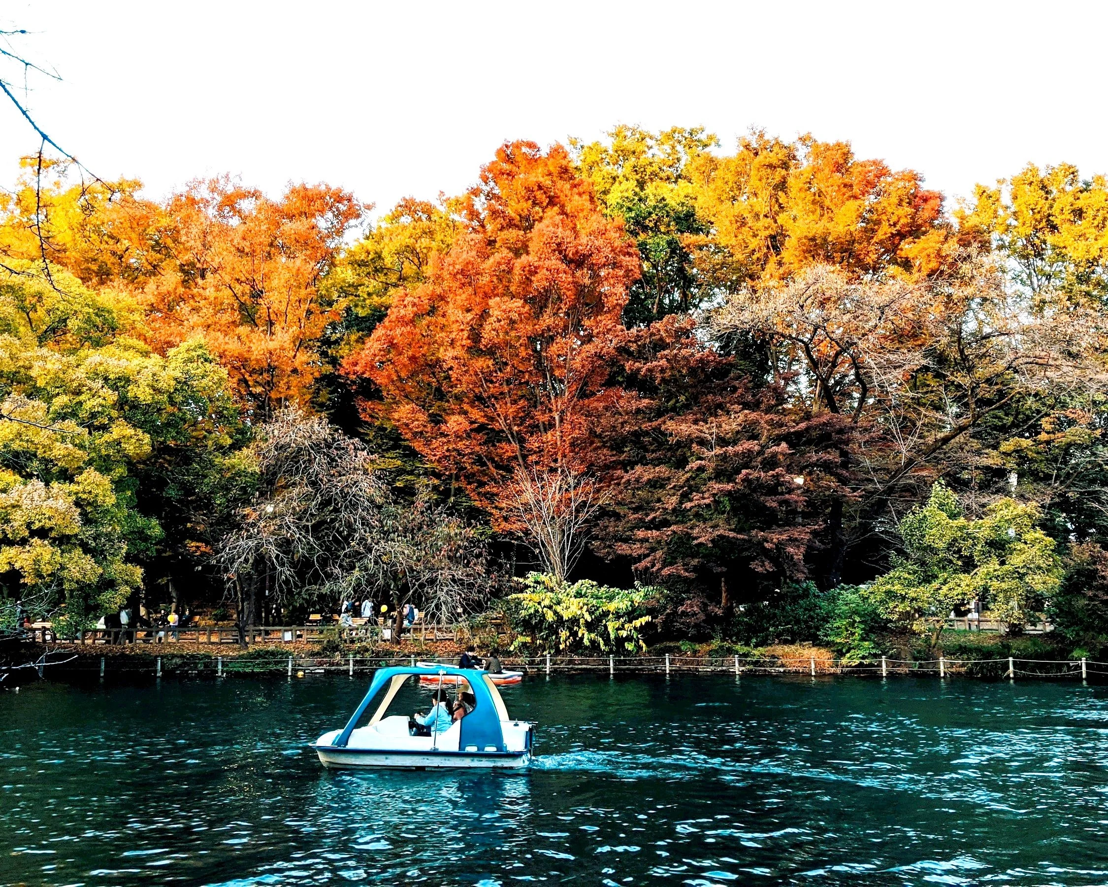 A paddle boat on a lake with colorful autumn trees in the background.