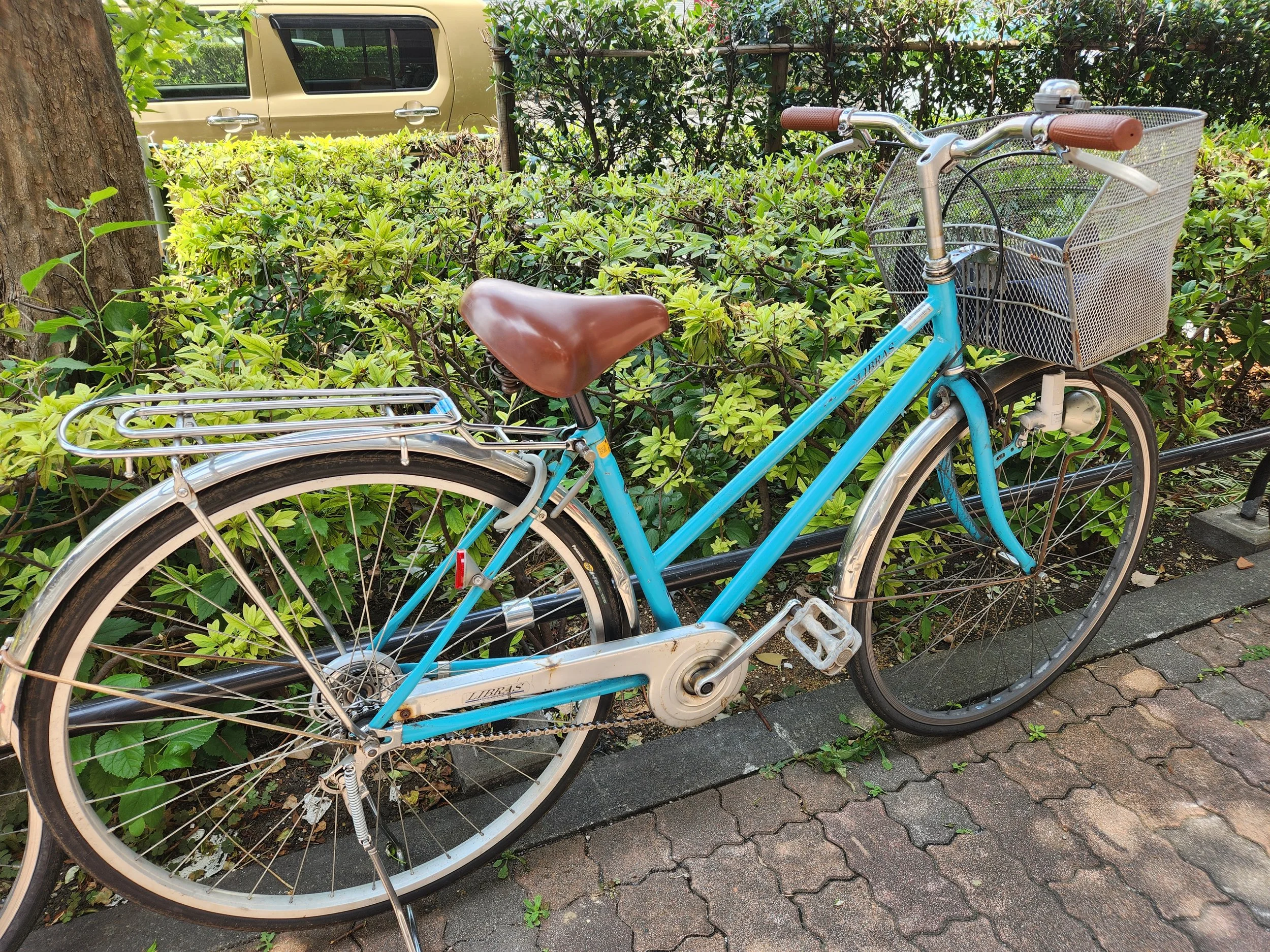Rolling like a local with Andy from DIG Tokyo Tours