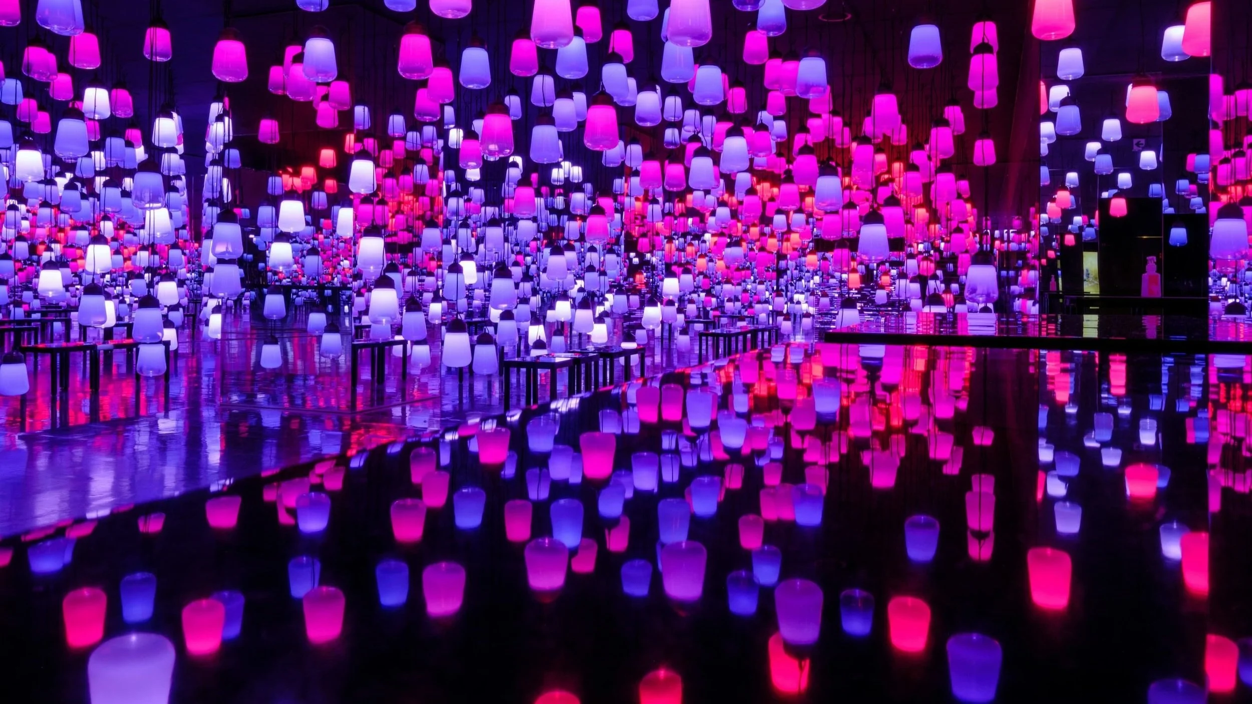 teamLab Borderless - exhibit
