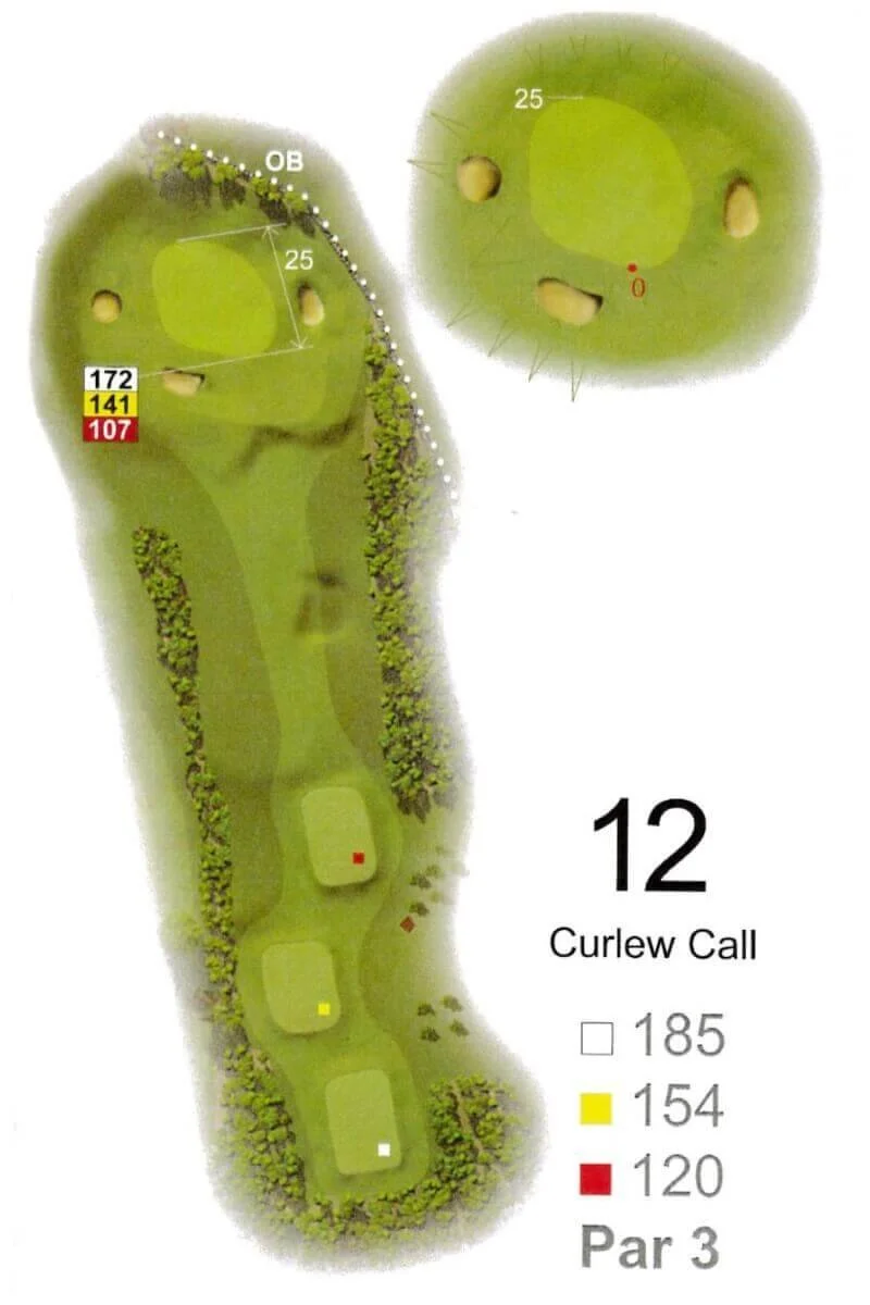 Hole 12, Curlew Call, plan