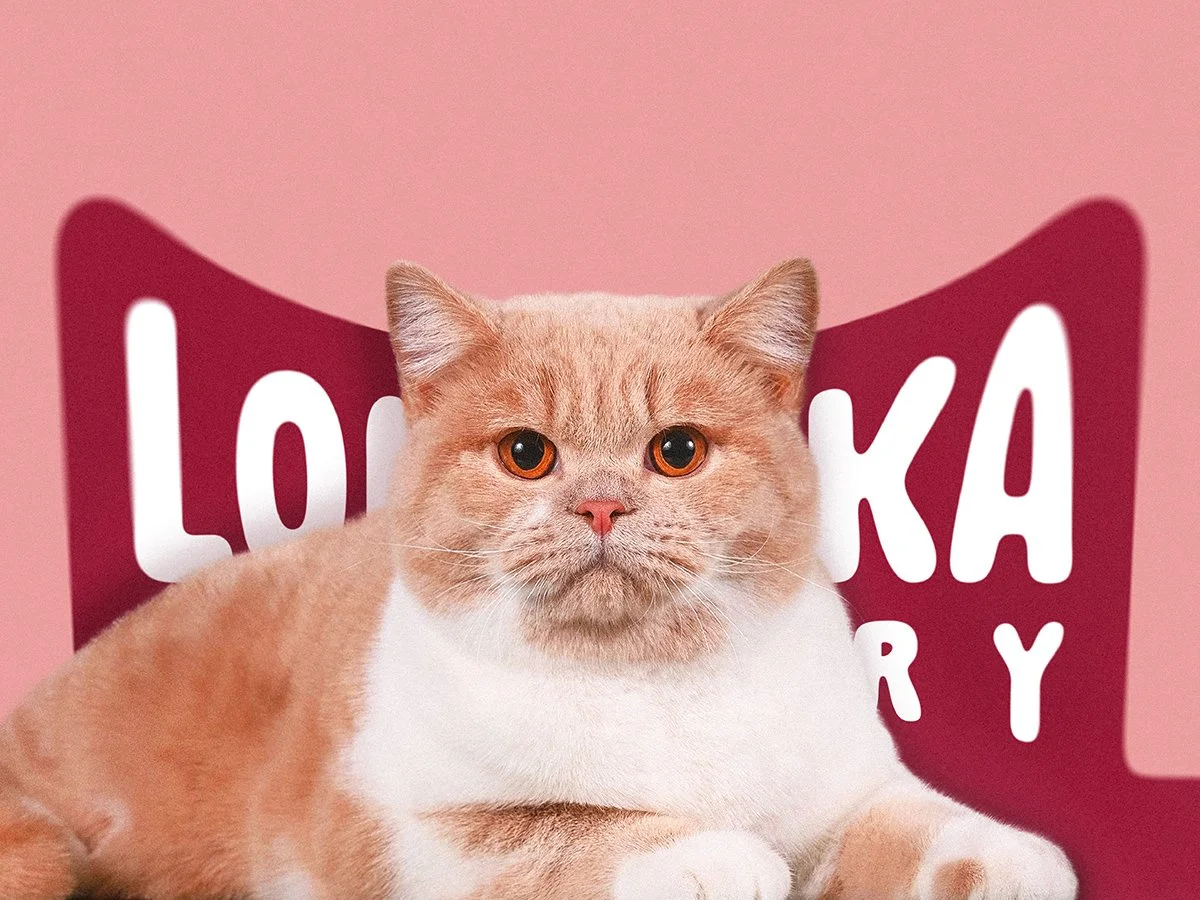 A cat lying in front of a pink background with a sign that says "Lockdown Therapy."