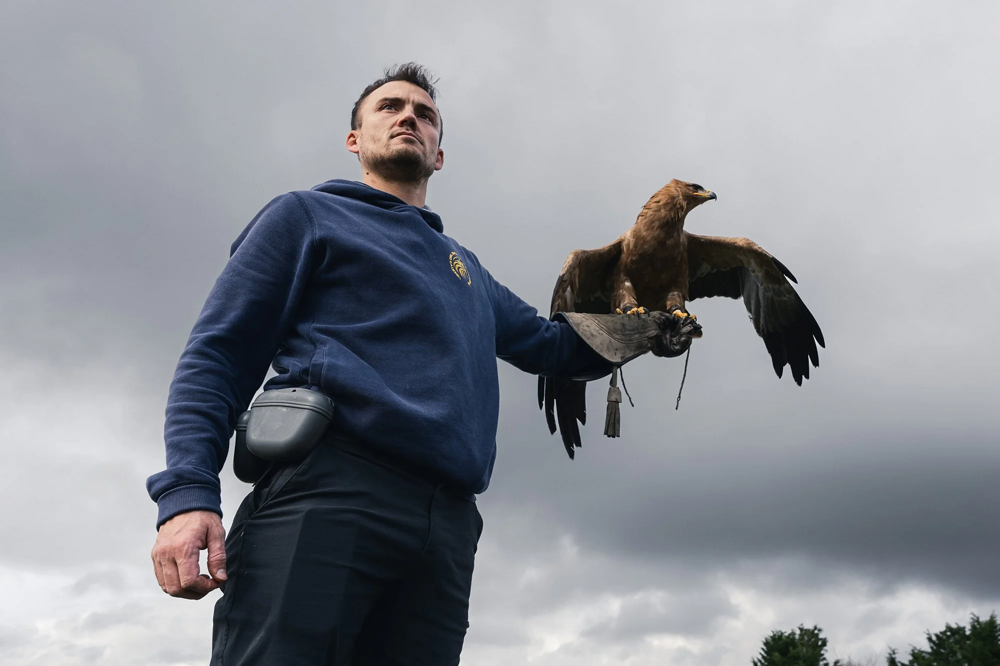 TheFalconers_web-9.jpg