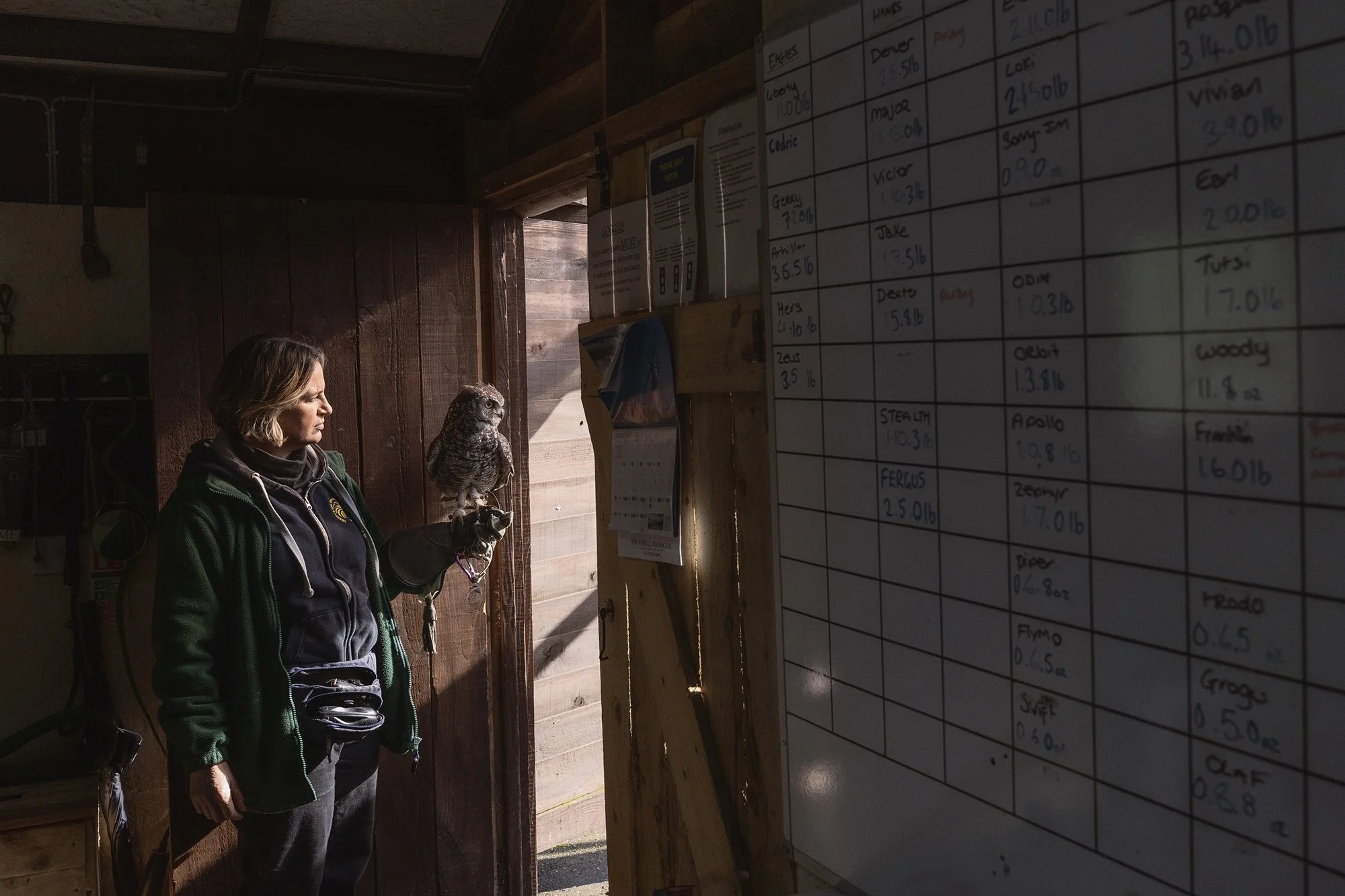 A woman standing indoors looking outside next to a whiteboard with handwritten notes, holding an owl, inside a wooden structure with an open door.