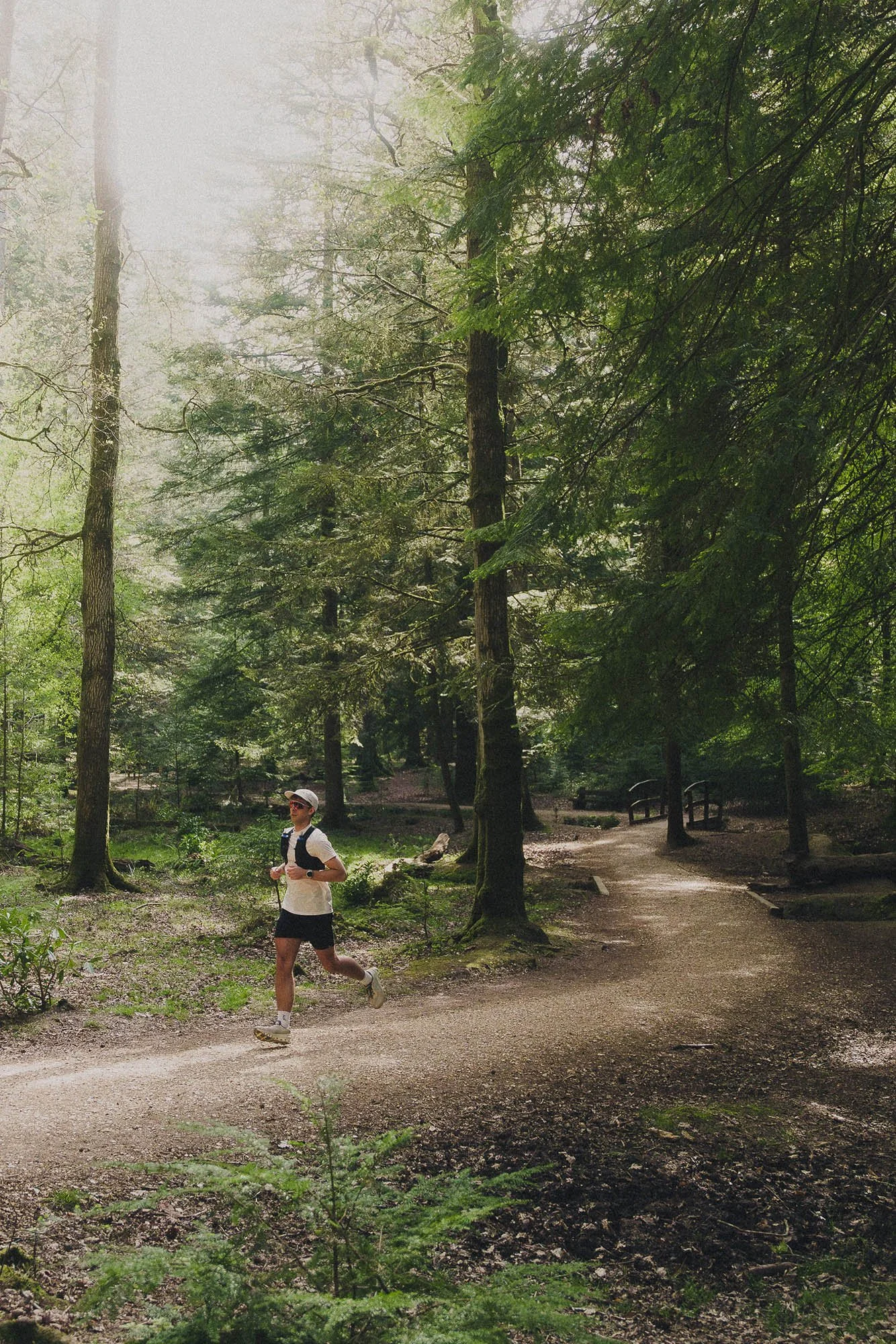 An runner jogging on a dirt trail in a lush green forest, bright sunlight filtering through the tall trees.