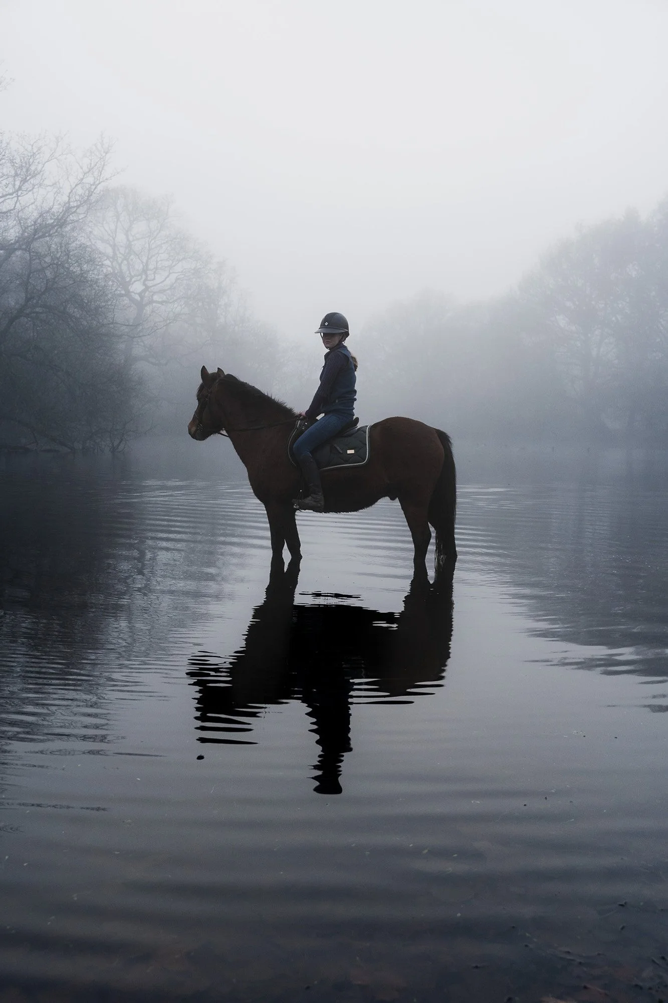 A person on a horse in a foggy, calm body of water with trees in the background, and the horse's reflection visible in the water.