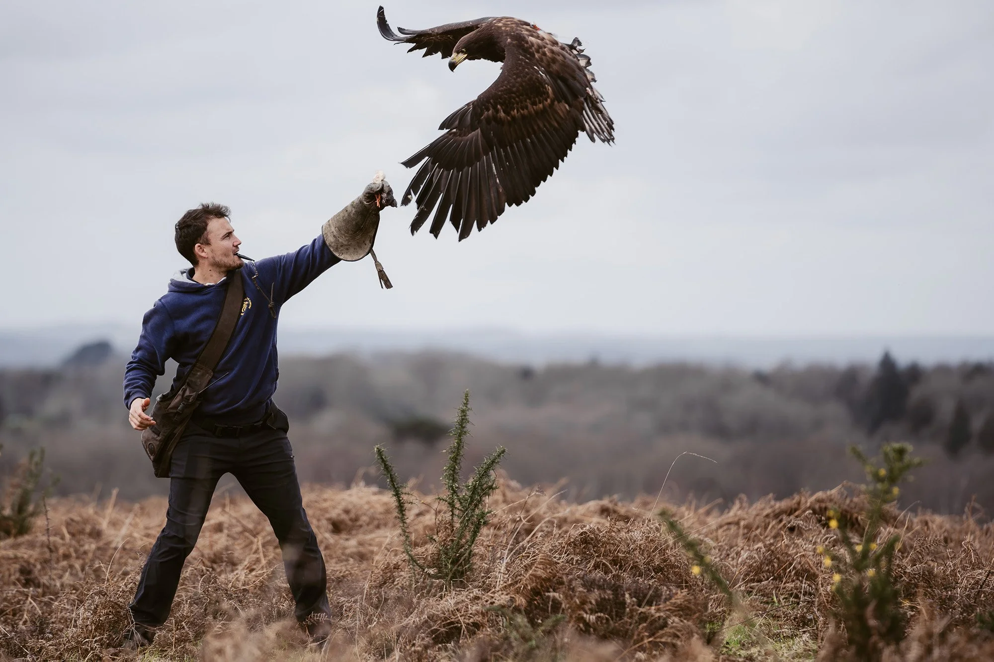 TheFalconers_web-10.jpg