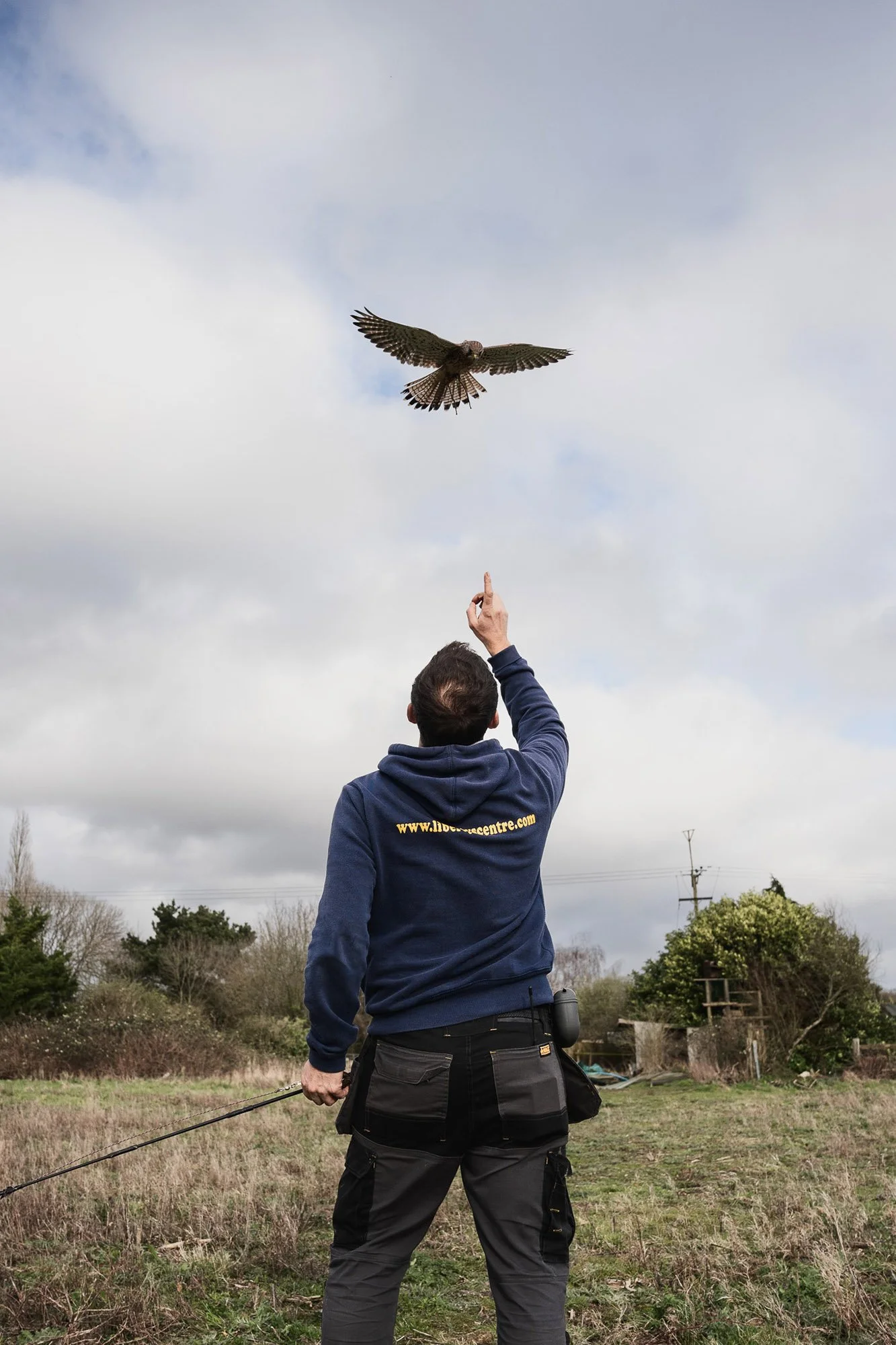 TheFalconers_web-2.jpg