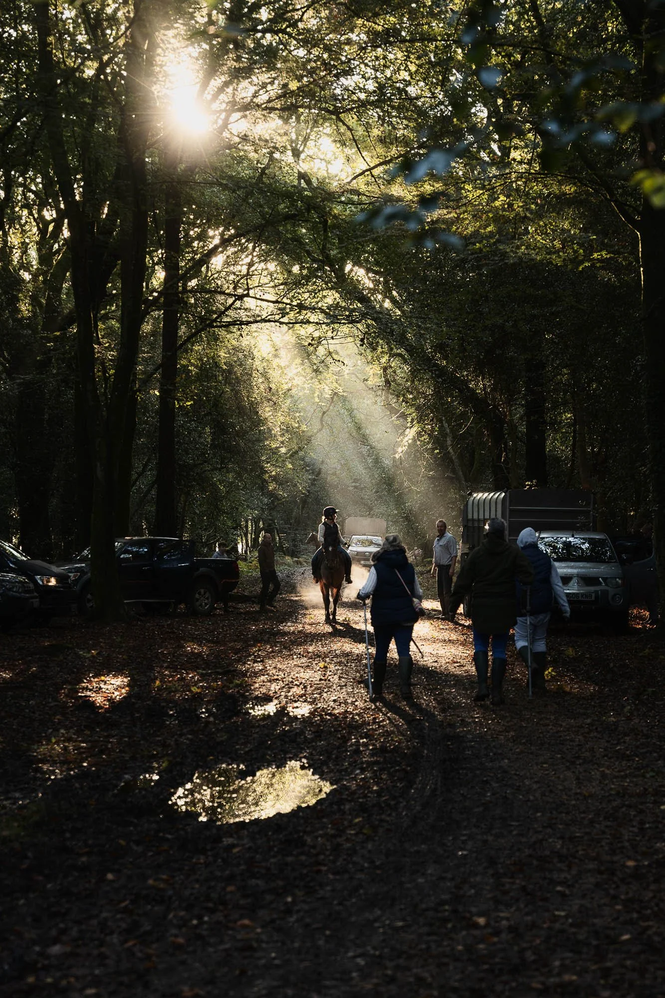 A wooded scene with sun rays filtering through trees, showing people walking and a person riding a horse on a dirt path, surrounded by parked cars and a small pond reflecting the sunlight.