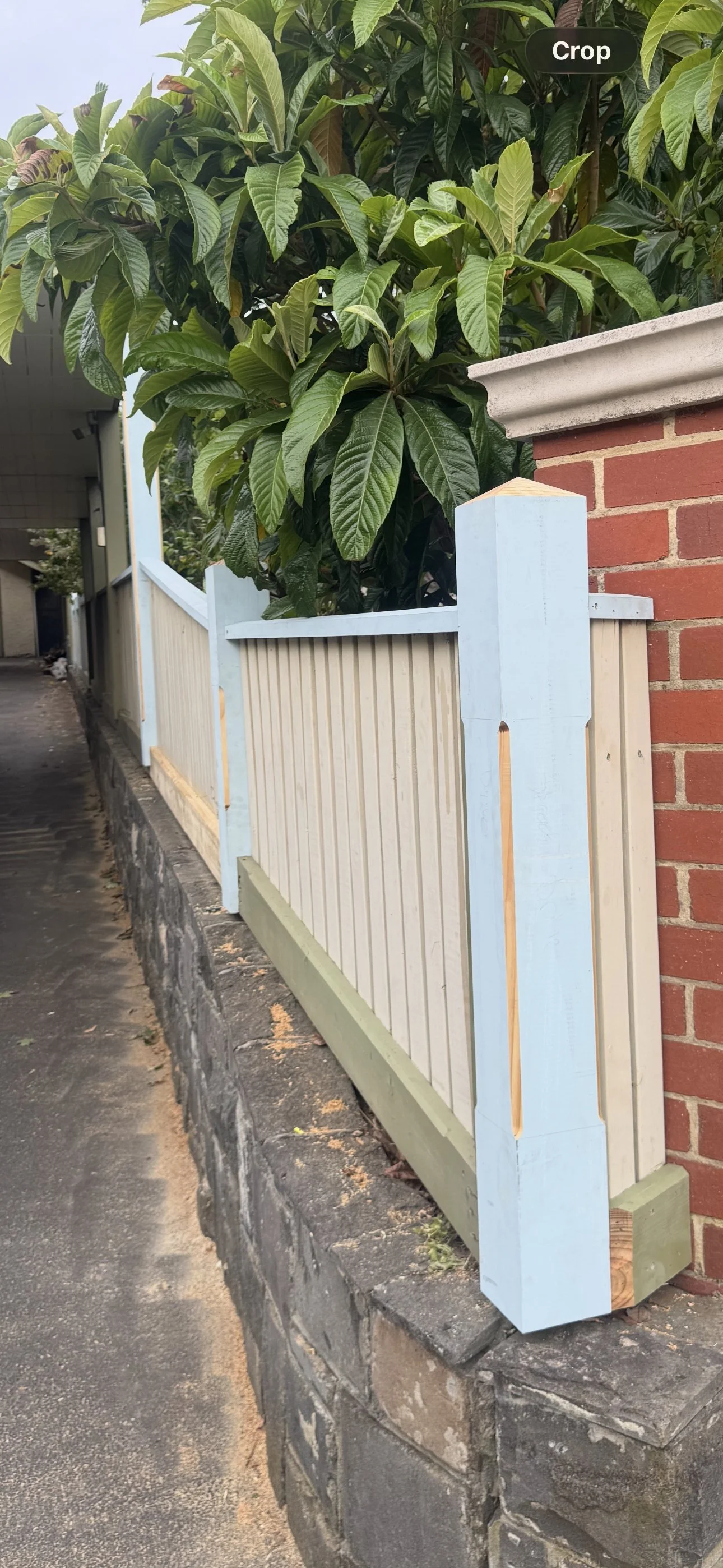 View of a newly painted fence with white and light blue panels next to a red brick wall, with a large leafy green plant behind the fence. The sidewalk runs along the curb made of dark stone.