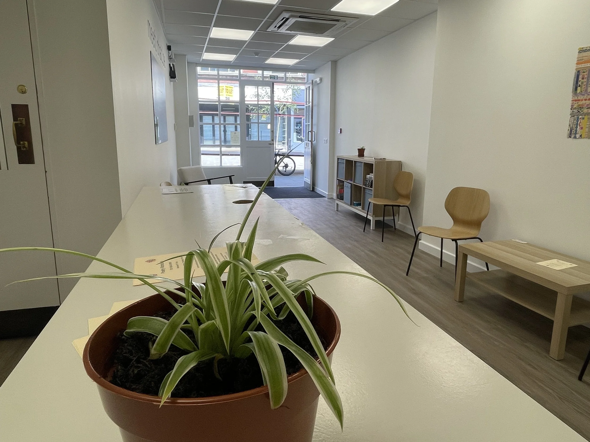 Spider plant in the foreground of picture showing the Twenty 7 site.