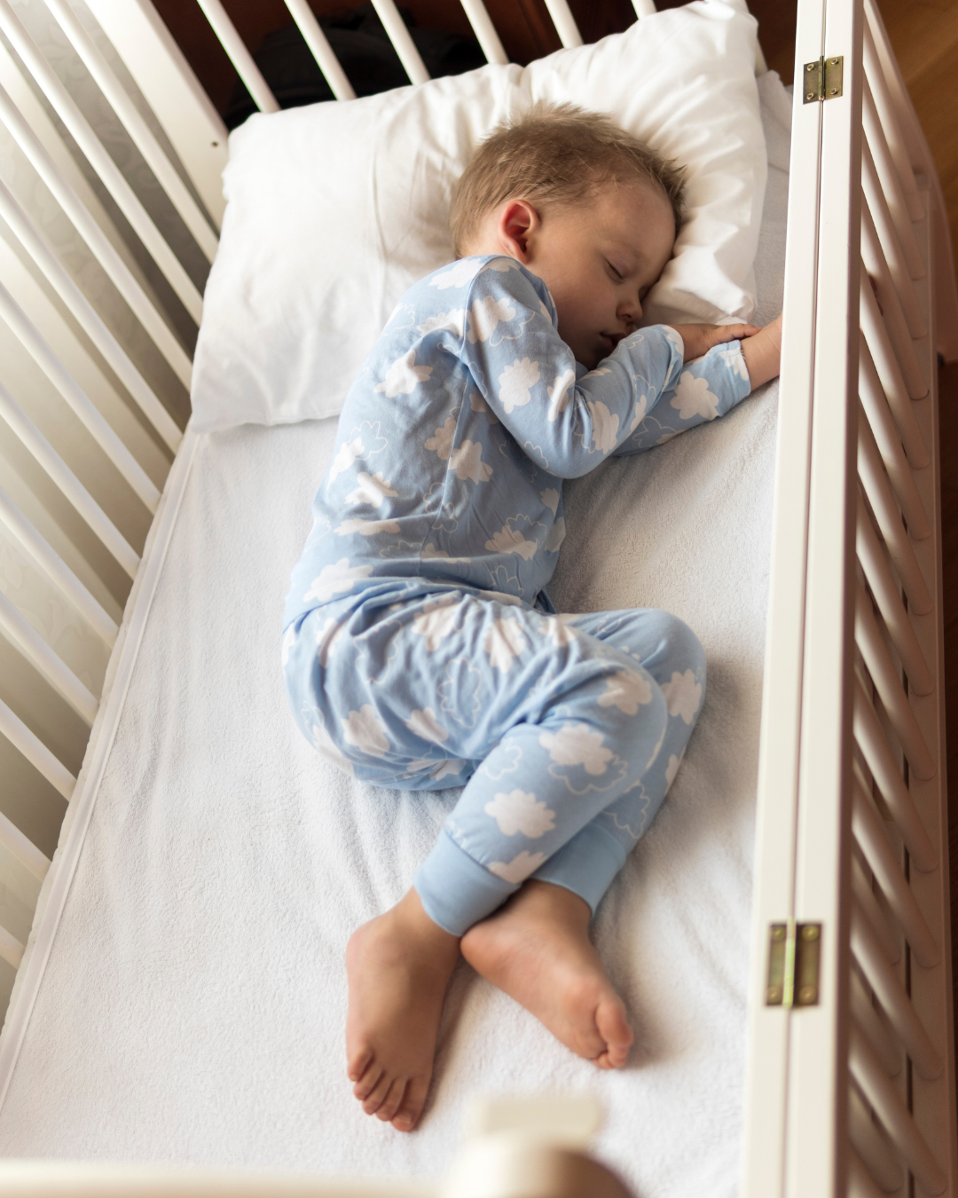 Snooze Success Premium Package