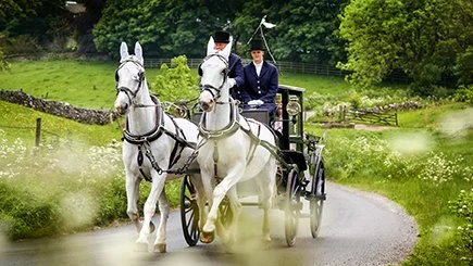 Two people dressed in formal attire riding a horse-drawn carriage on a rural road surrounded by greenery.