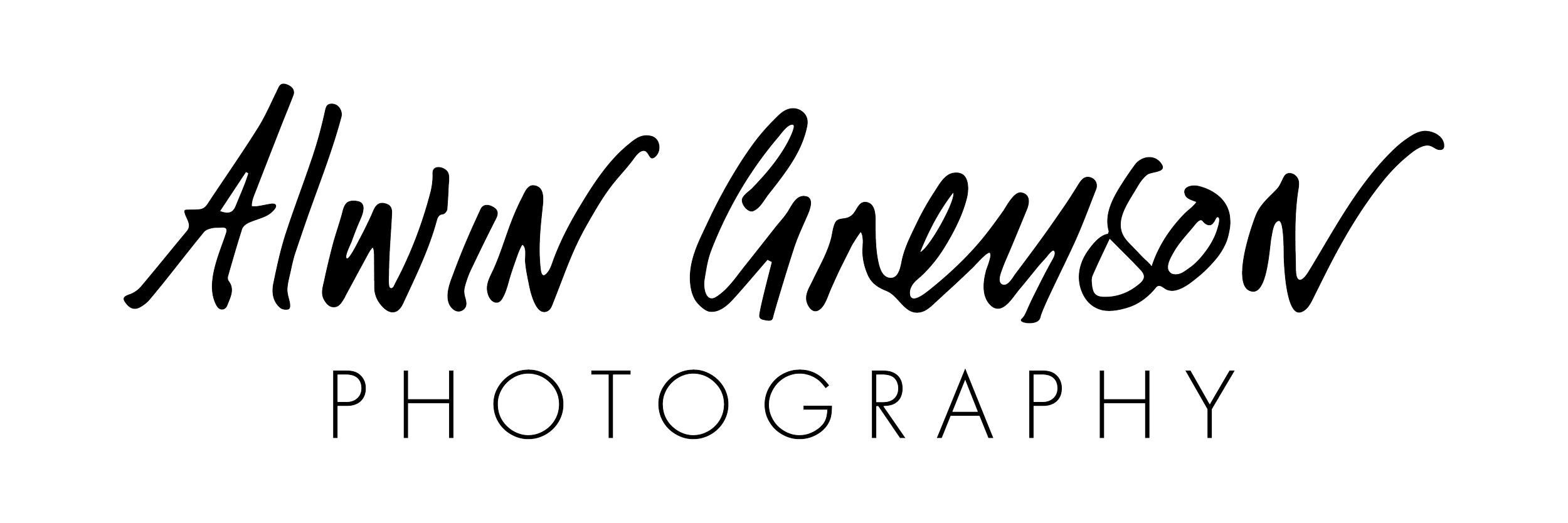 Signature logo with the text 'Allyn Garrison Photography' in a cursive and uppercase font.