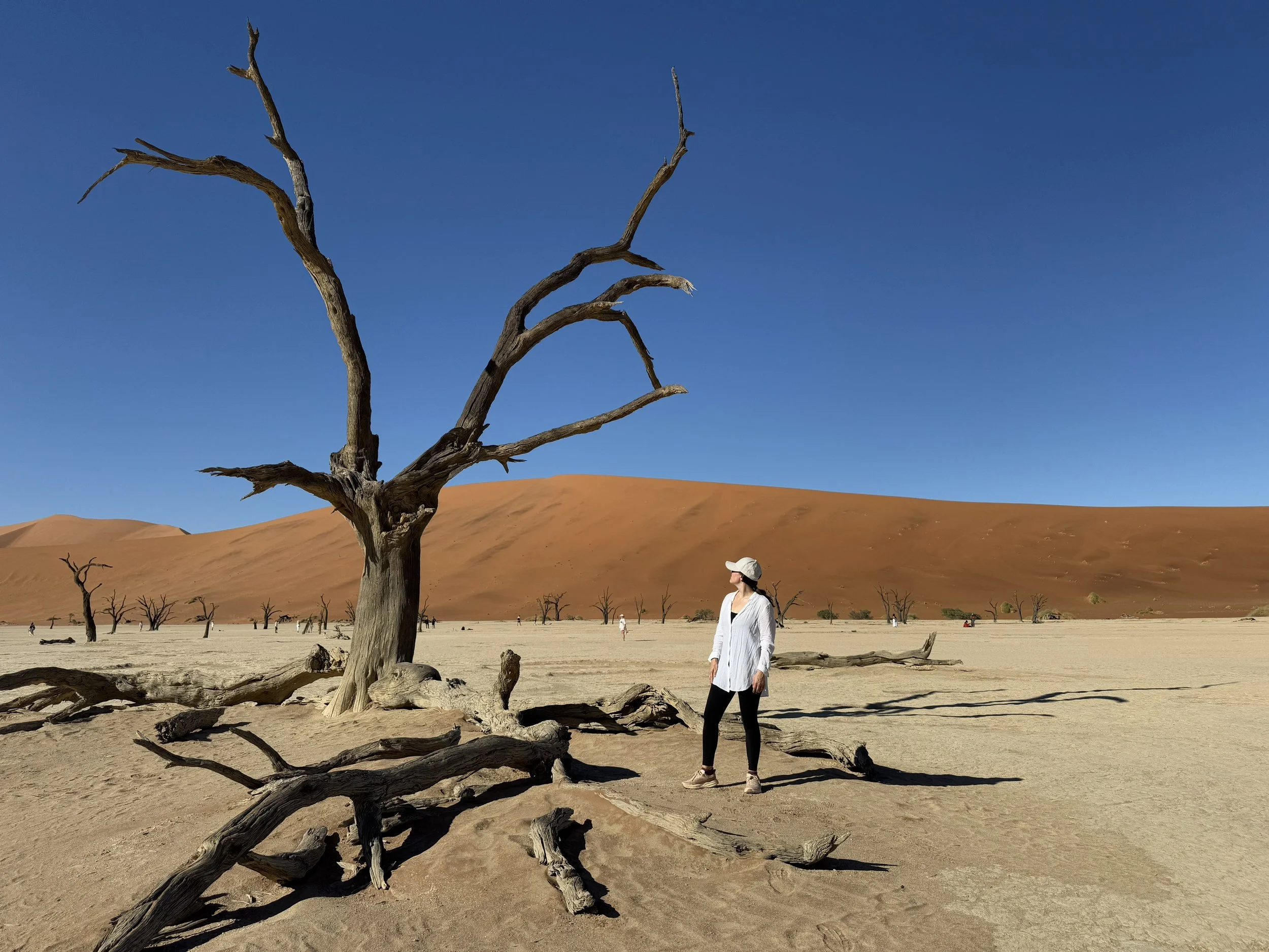 Namibia Travel Guide: A Luxury Safari &amp; Desert Itinerary