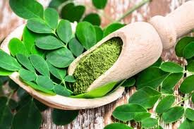 The Ultimate Guide to Moringa: Benefits, Uses, and Why We Include It in Our Handcrafted Teas