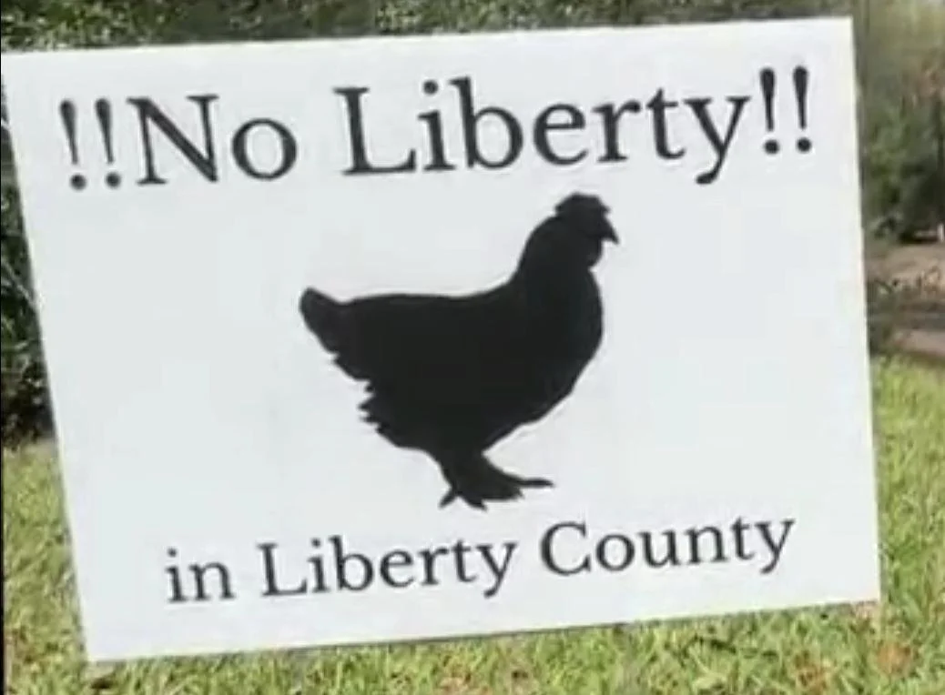 Is the American Dream Dead in Liberty County?