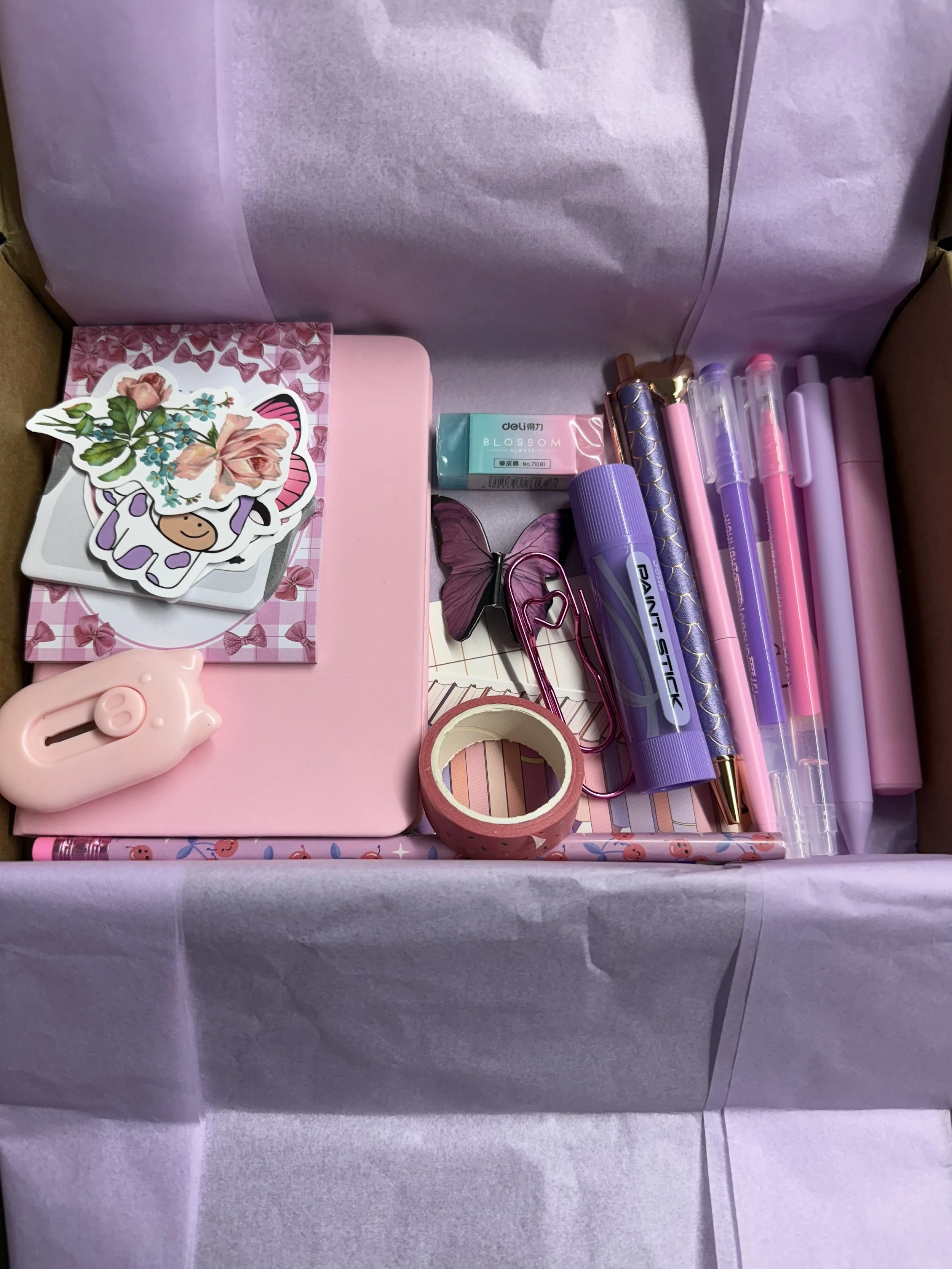 Pink and Purple stationary  mystery box.jpeg