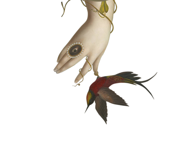 A hand with jewelry holding a fish with colorful red and black fins and a yellow patch near its head.