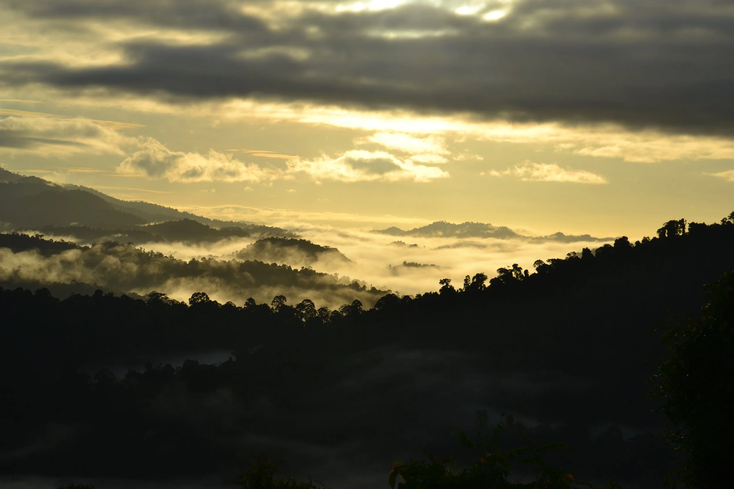 A landscape of misty mountains under a cloudy sky during sunrise or sunset.