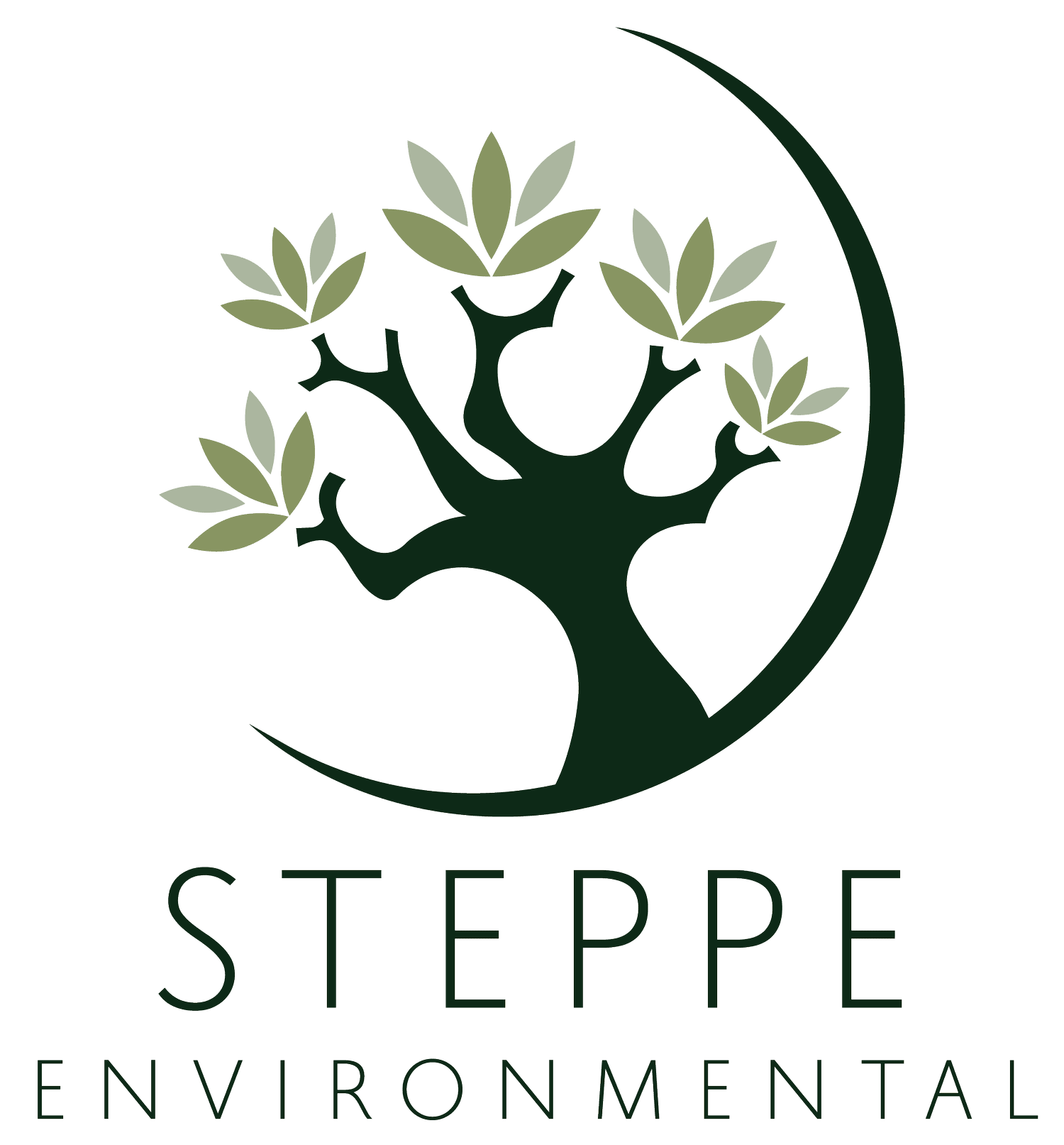 Steppe Environmental