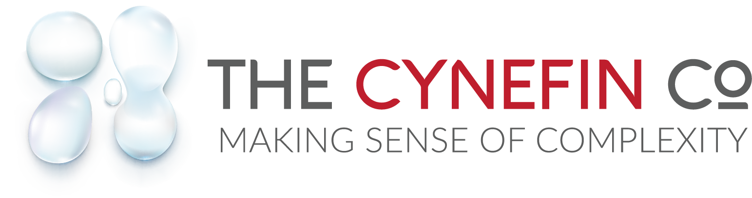 Logo for The Cynefin Co featuring abstract bubble shapes and the tagline 'Making Sense of Complexity'.