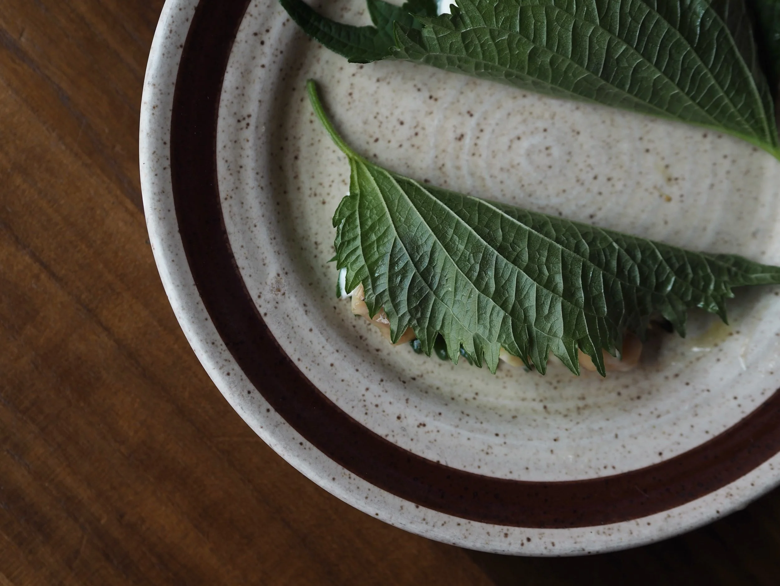 SMOKED EEL, APPLE MARIGOLD, SHISO

Faris, you delightful chef, what a fire menu. 
Welcome to the next 5 weeks of your life.
Run, don&rsquo;t walk x