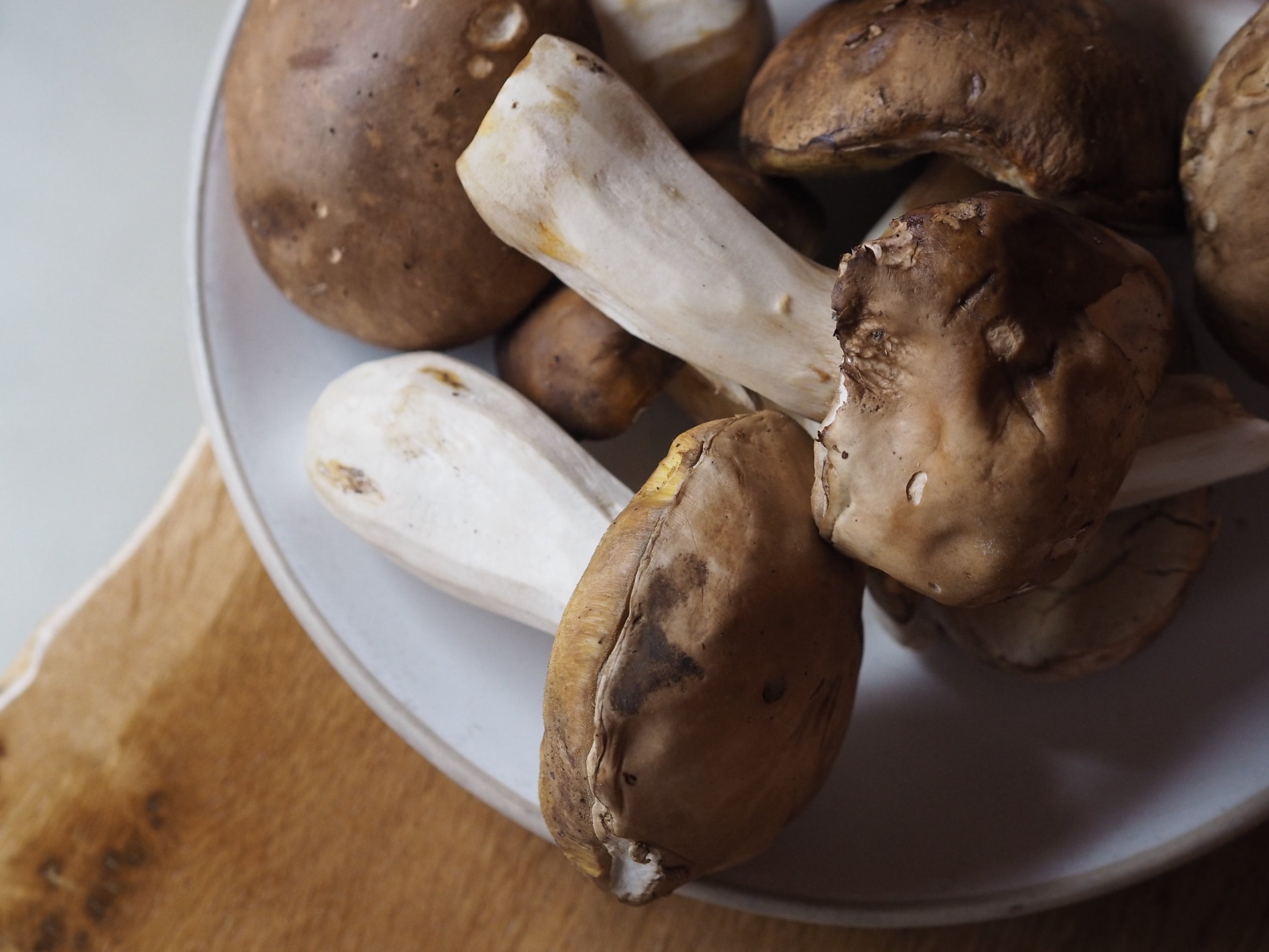 CEP PASTA

Nicky rolled some pappardelle, @natoora sent us some super expensive ceps, and Nicky made a fucking delicious cep pasta. Et voil&agrave;!
On all weekend 🤍