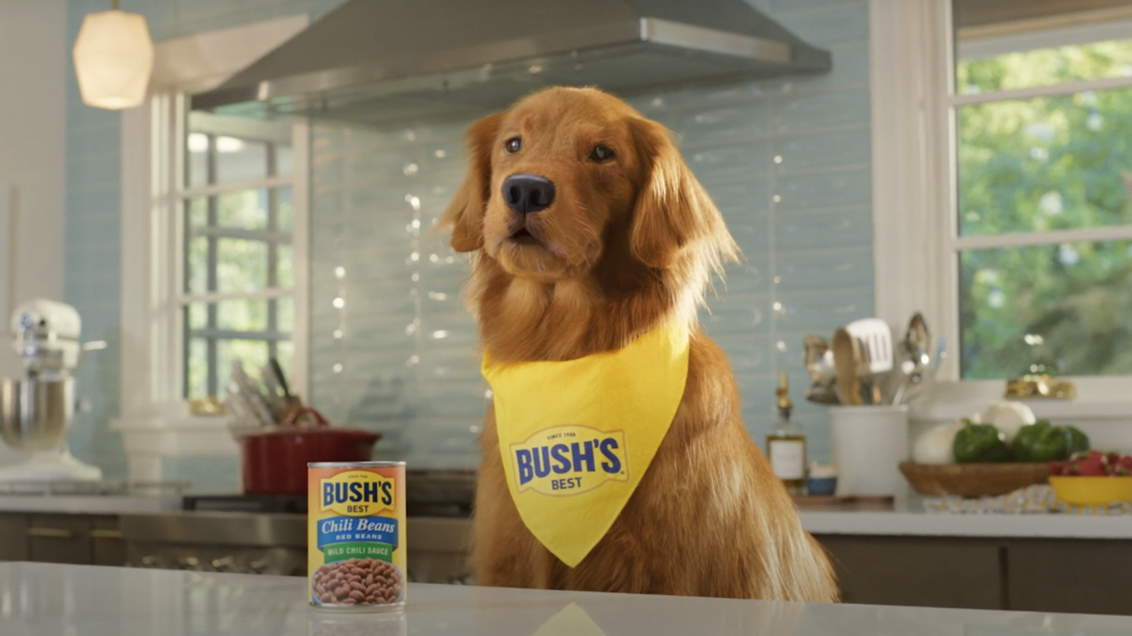 Bush's Beans // The Other Secret Family Recipe