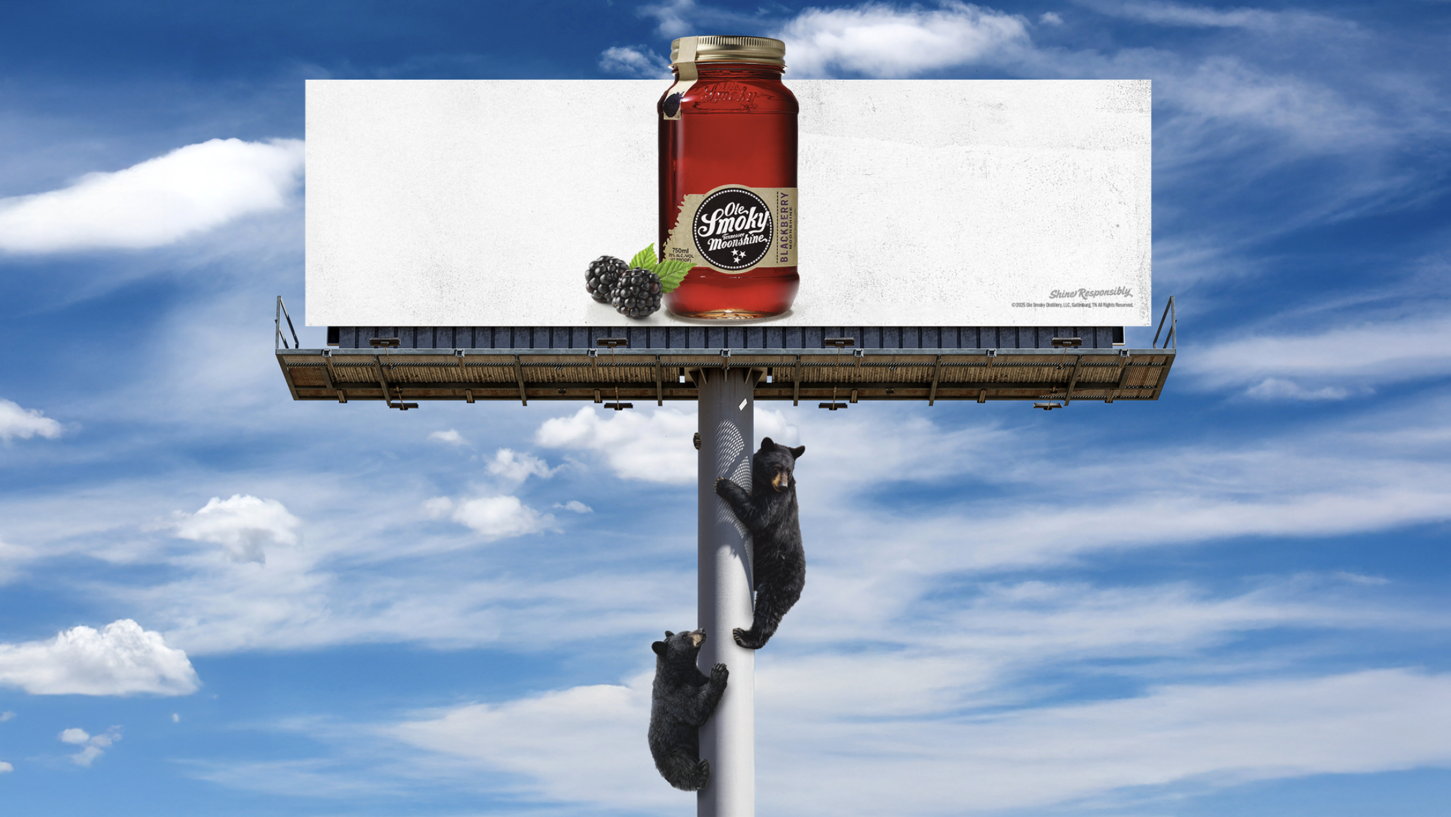 OSD-Billboard-Bears.png