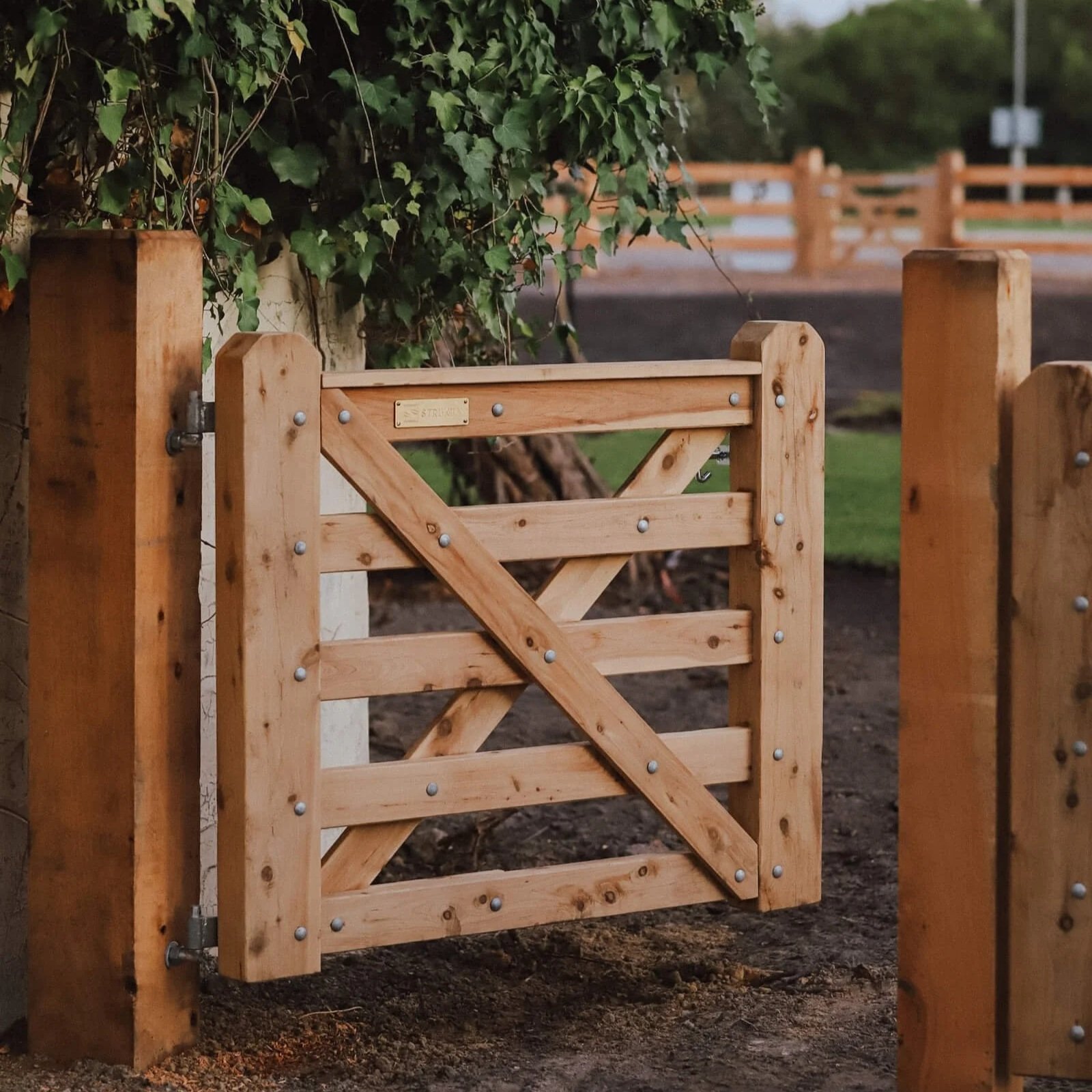 Close-up view of a wooden gate with green ivy plants growing above it, situated in an outdoor area with a dirt ground and a distant parking lot or road with orange fencing.