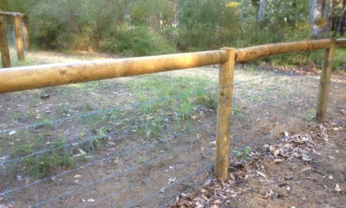 Tidelock_Fencing_Albany_Pine Post Dog Fenicng.jpg