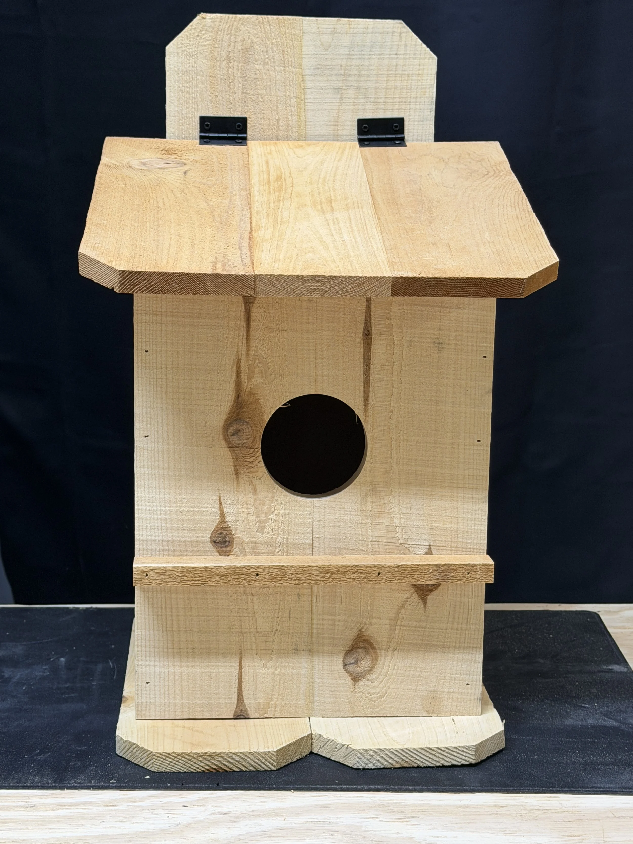 Squirrel House