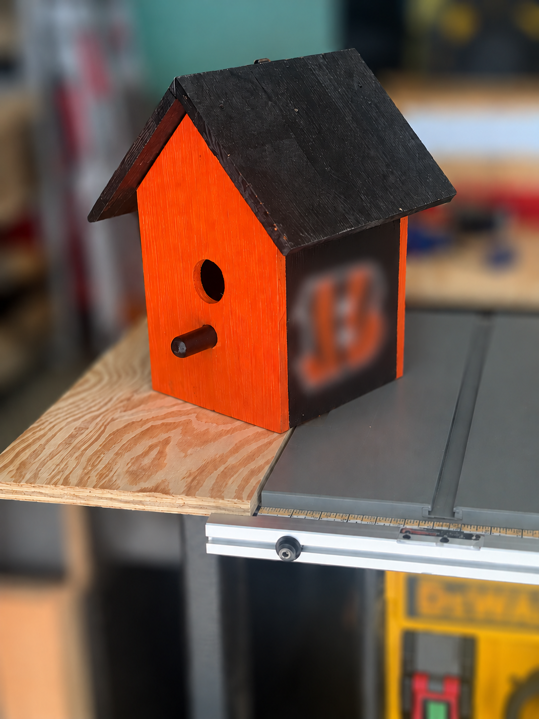 Bird House